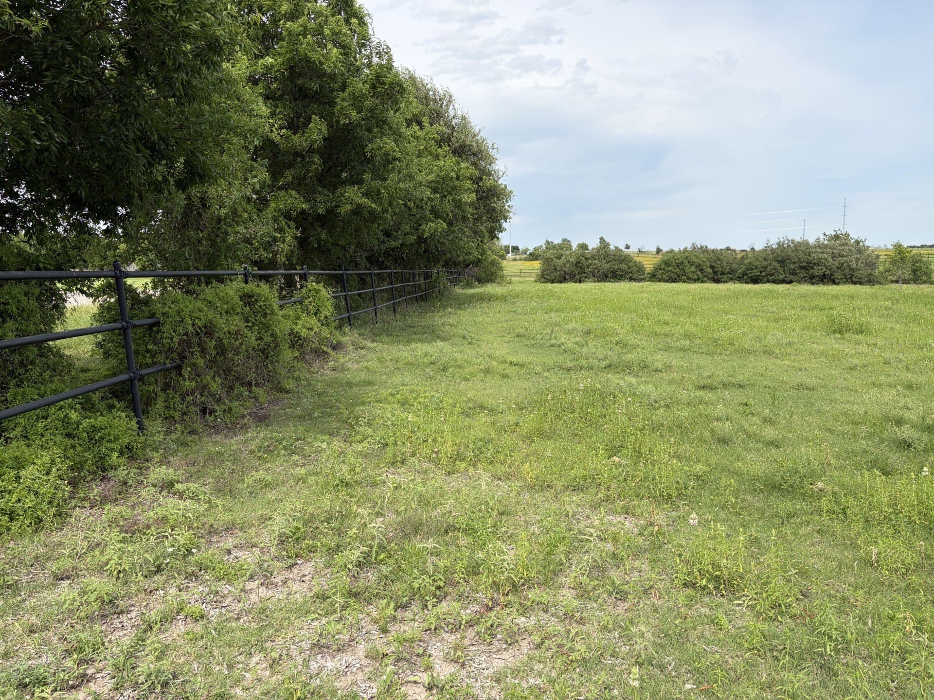 30 acres in Williamson County gallery image 2