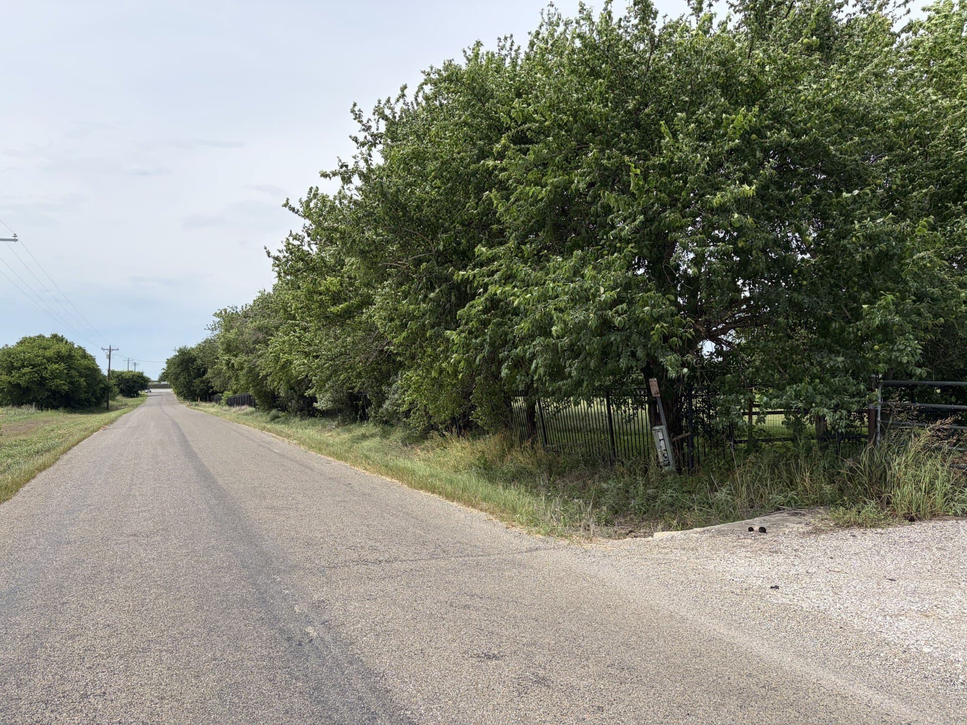 30 acres in Williamson County - photo 8