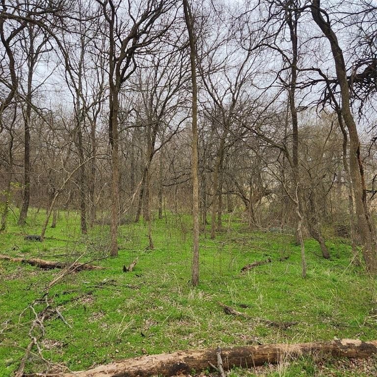 3.2 acres in Grayson County featured view