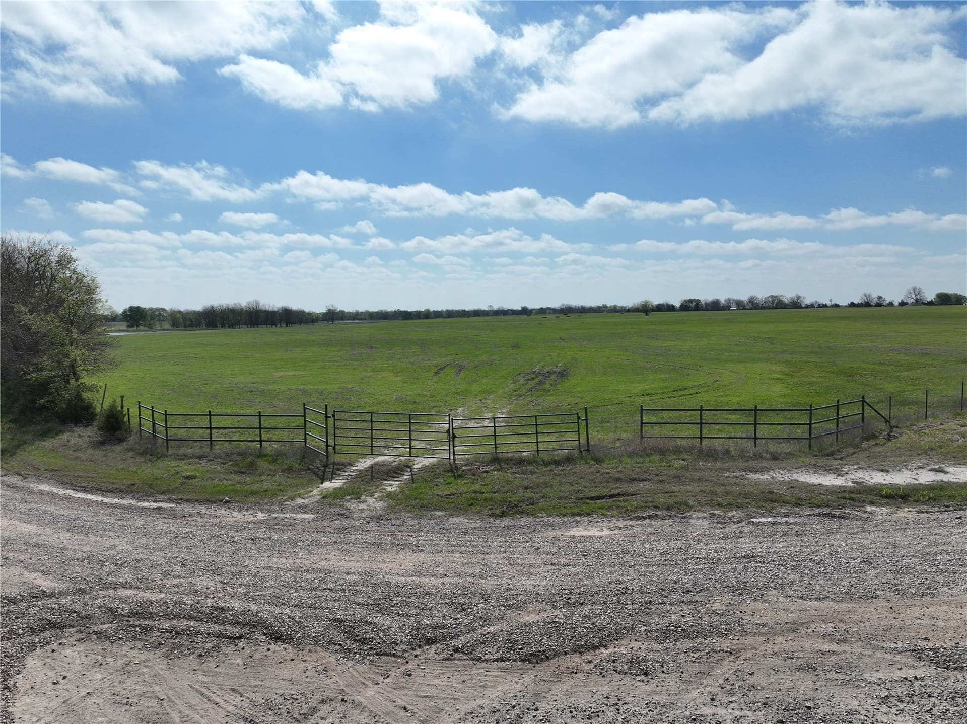 22.5 acres in Fannin County - photo 14