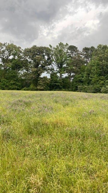 20 acres in Texas County - photo 6