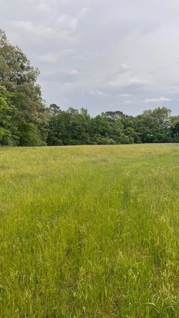 20 acres in Texas County - photo 8