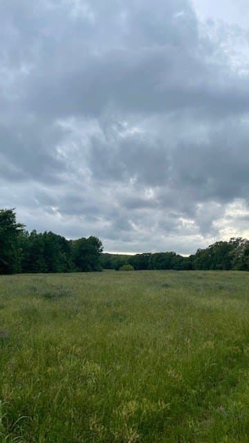 20 acres in Texas County - photo 7