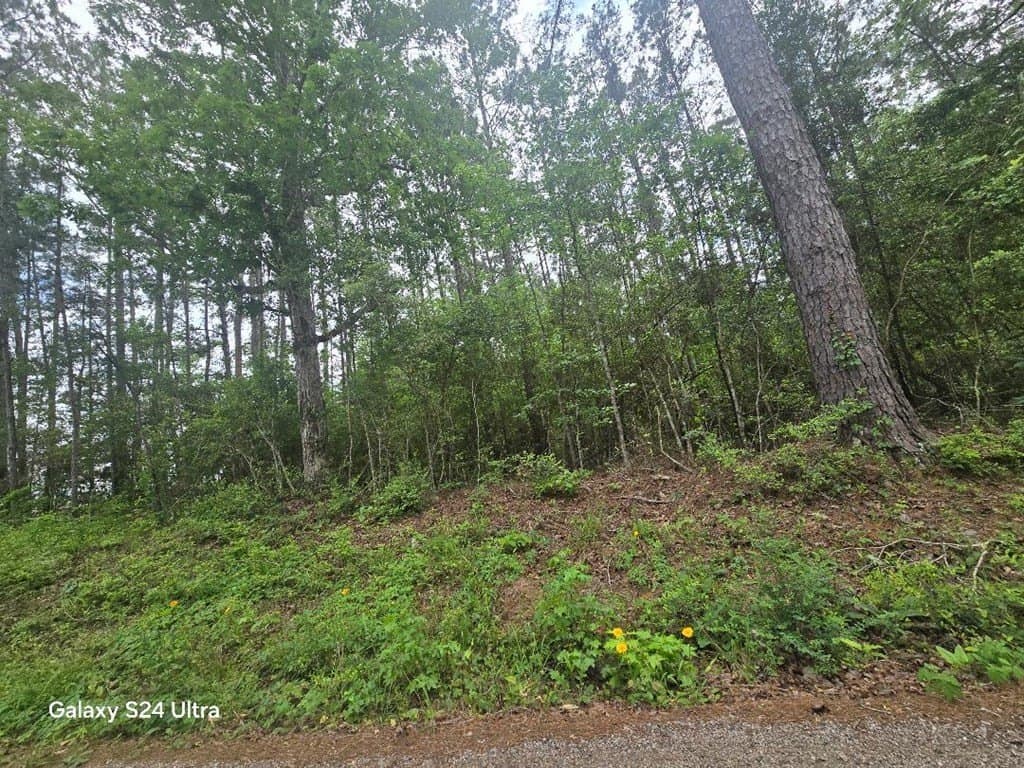 4 acres in Texas County gallery image 3