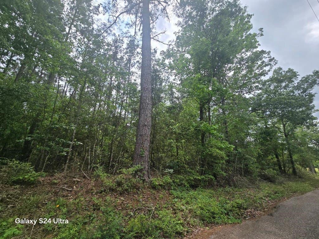 4 acres in Texas County gallery image 2
