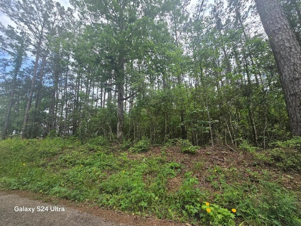4 acres in Texas County