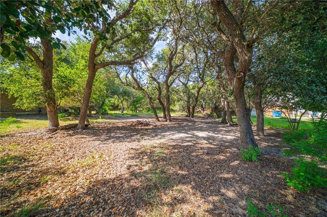 0.32 acres in Aransas County - photo 5