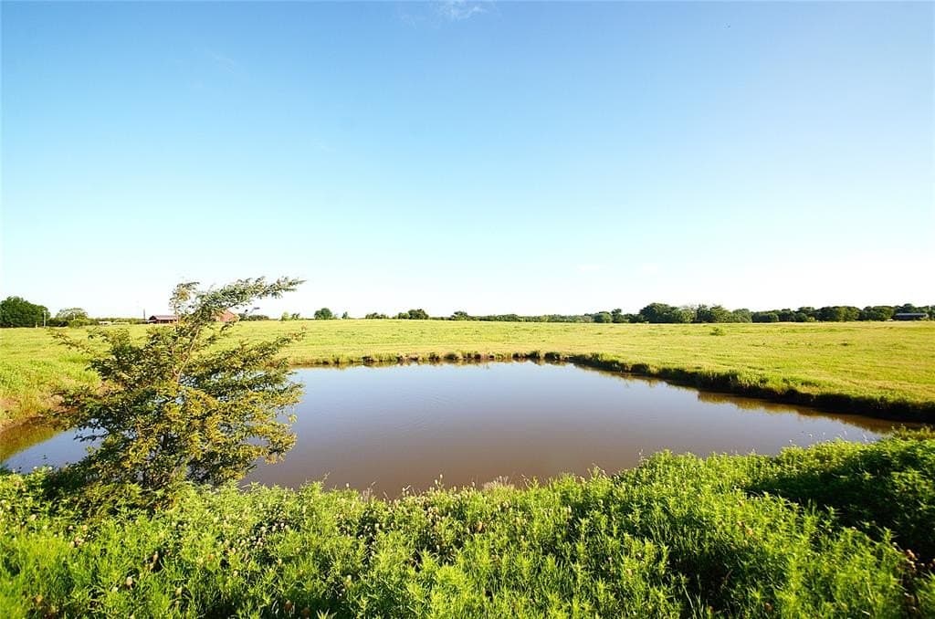 24.51 acres in Grayson County gallery image 2