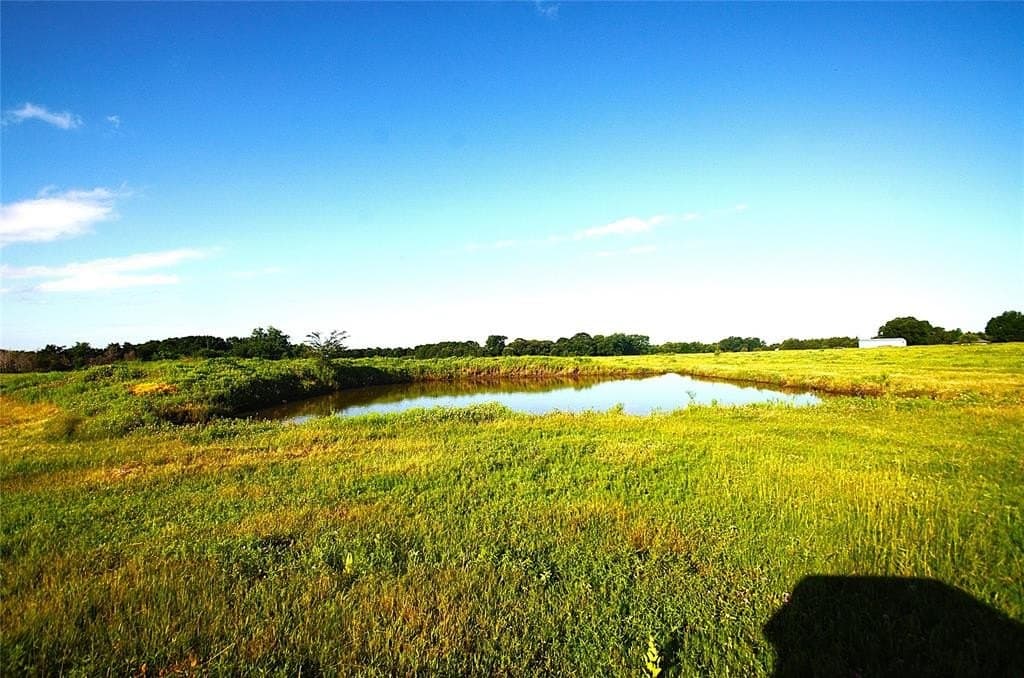 24.51 acres in Grayson County gallery image 4