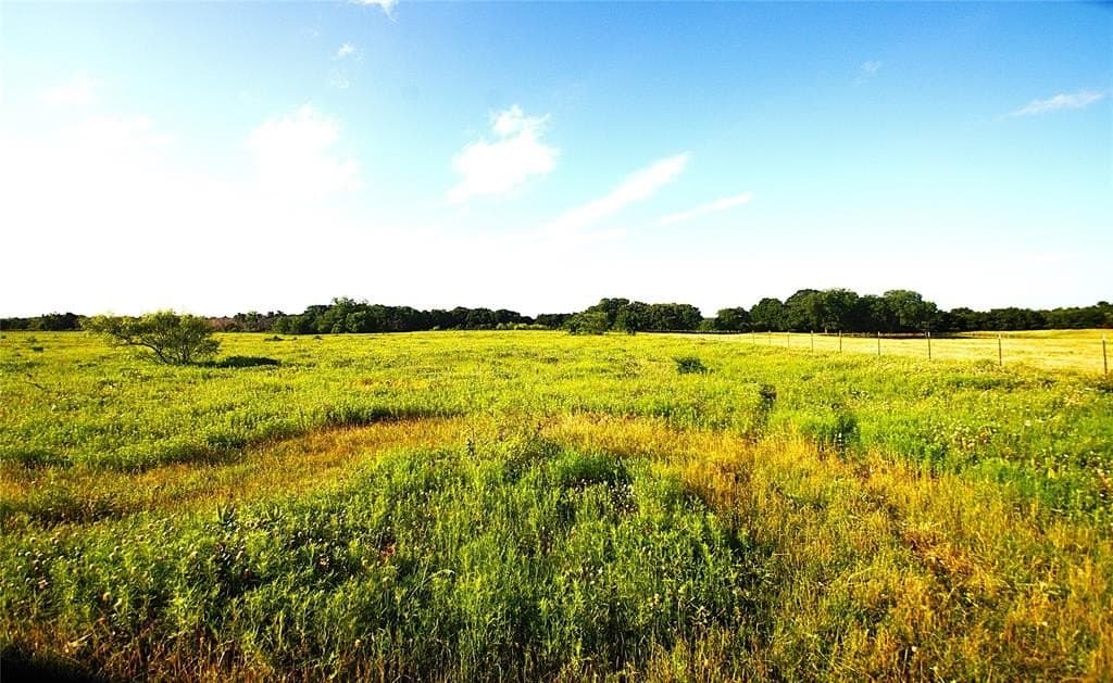 24.51 acres in Grayson County featured view