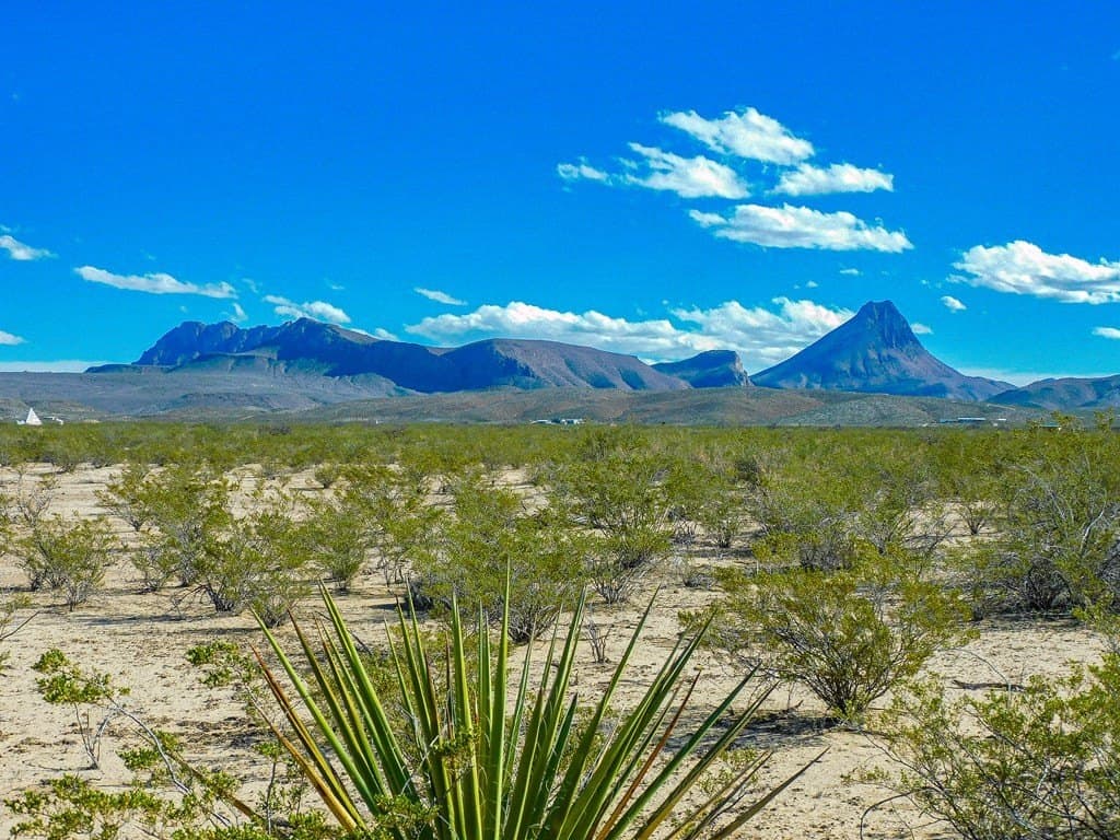 5 acres in Brewster County gallery image 3