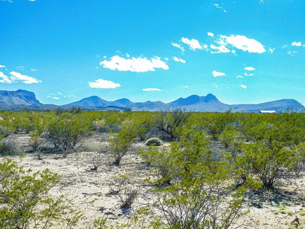 5 acres in Brewster County gallery image 4