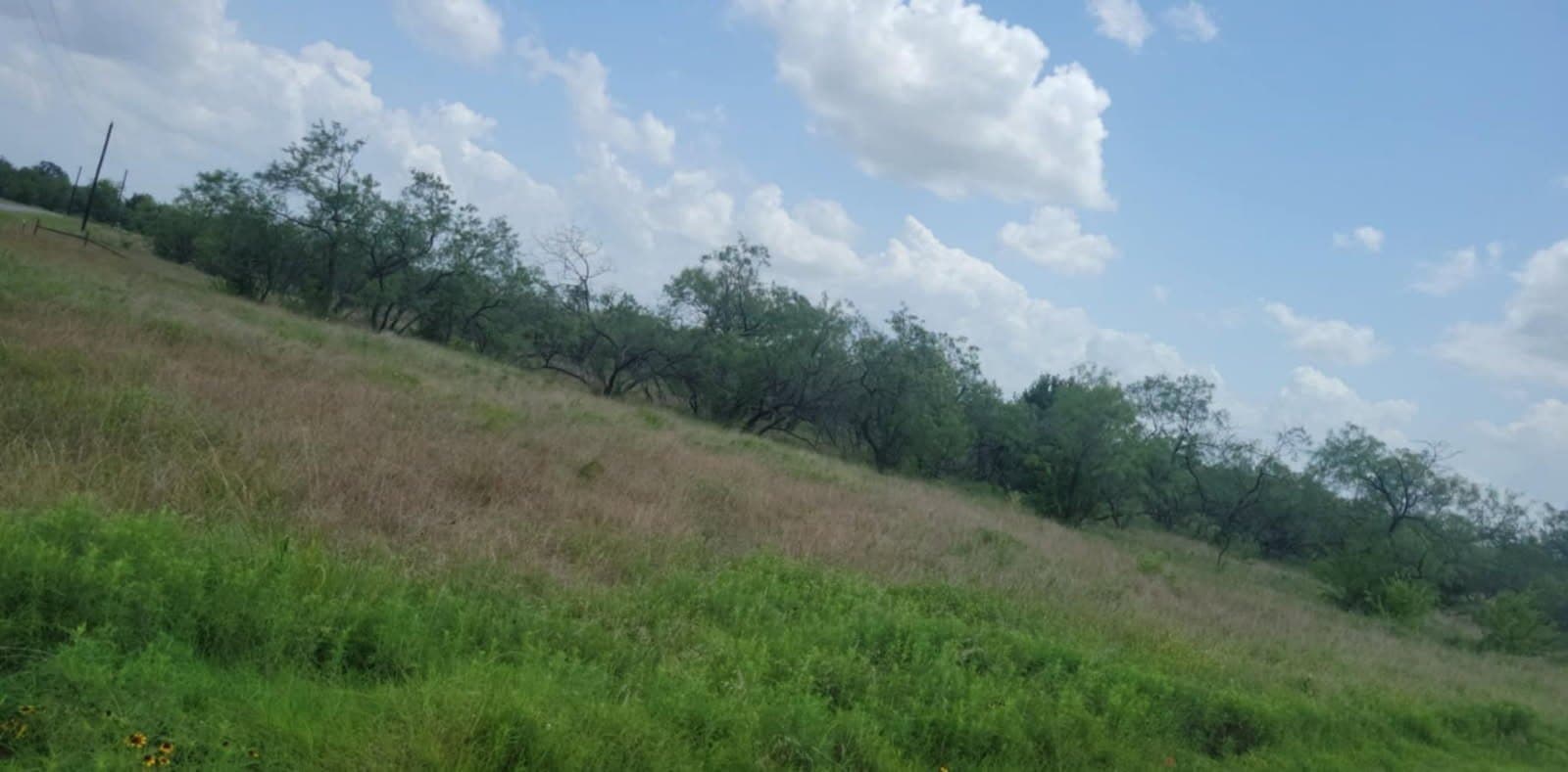 2 acres in Navarro County - photo 6