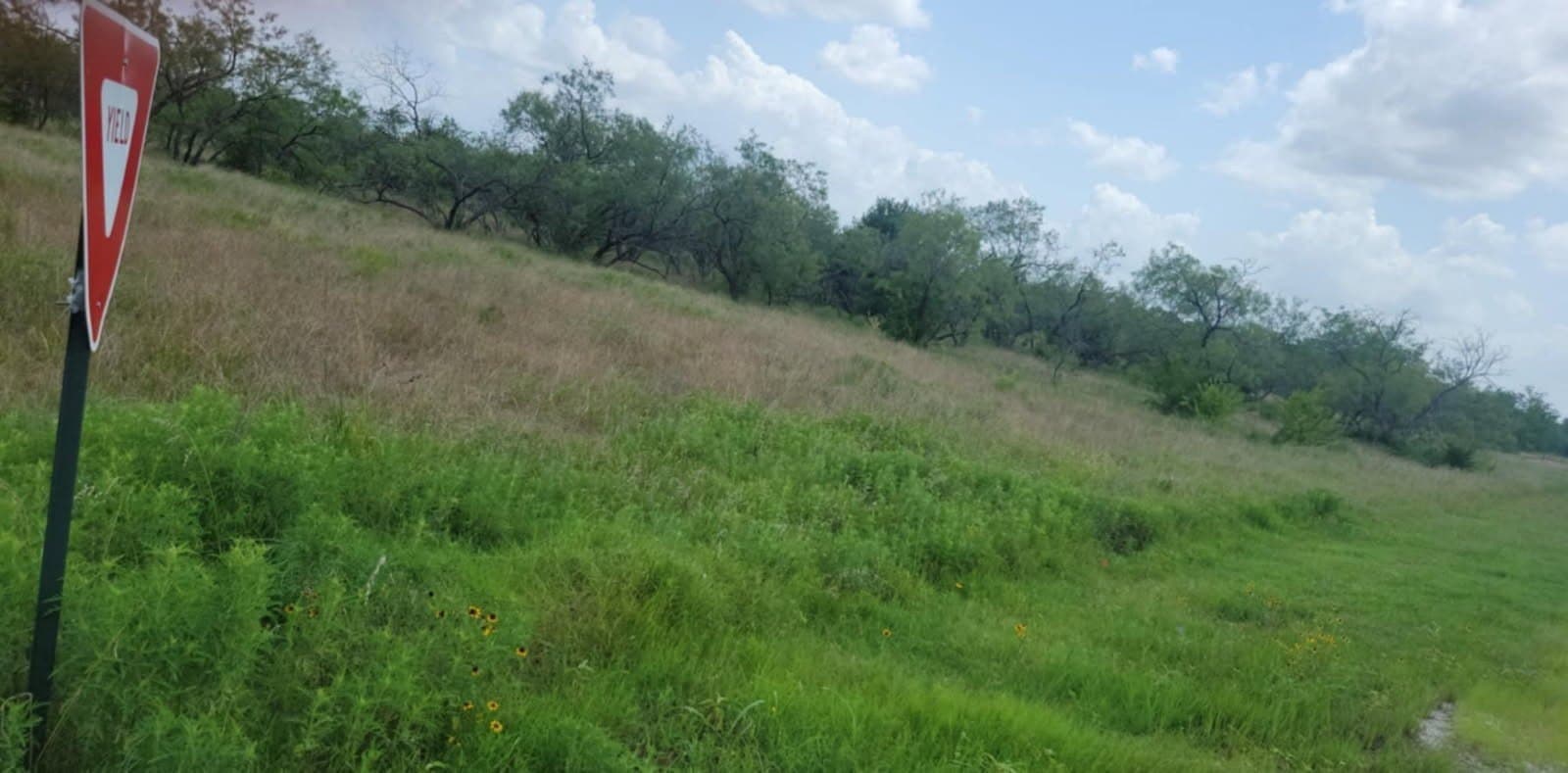 2 acres in Navarro County gallery image 4