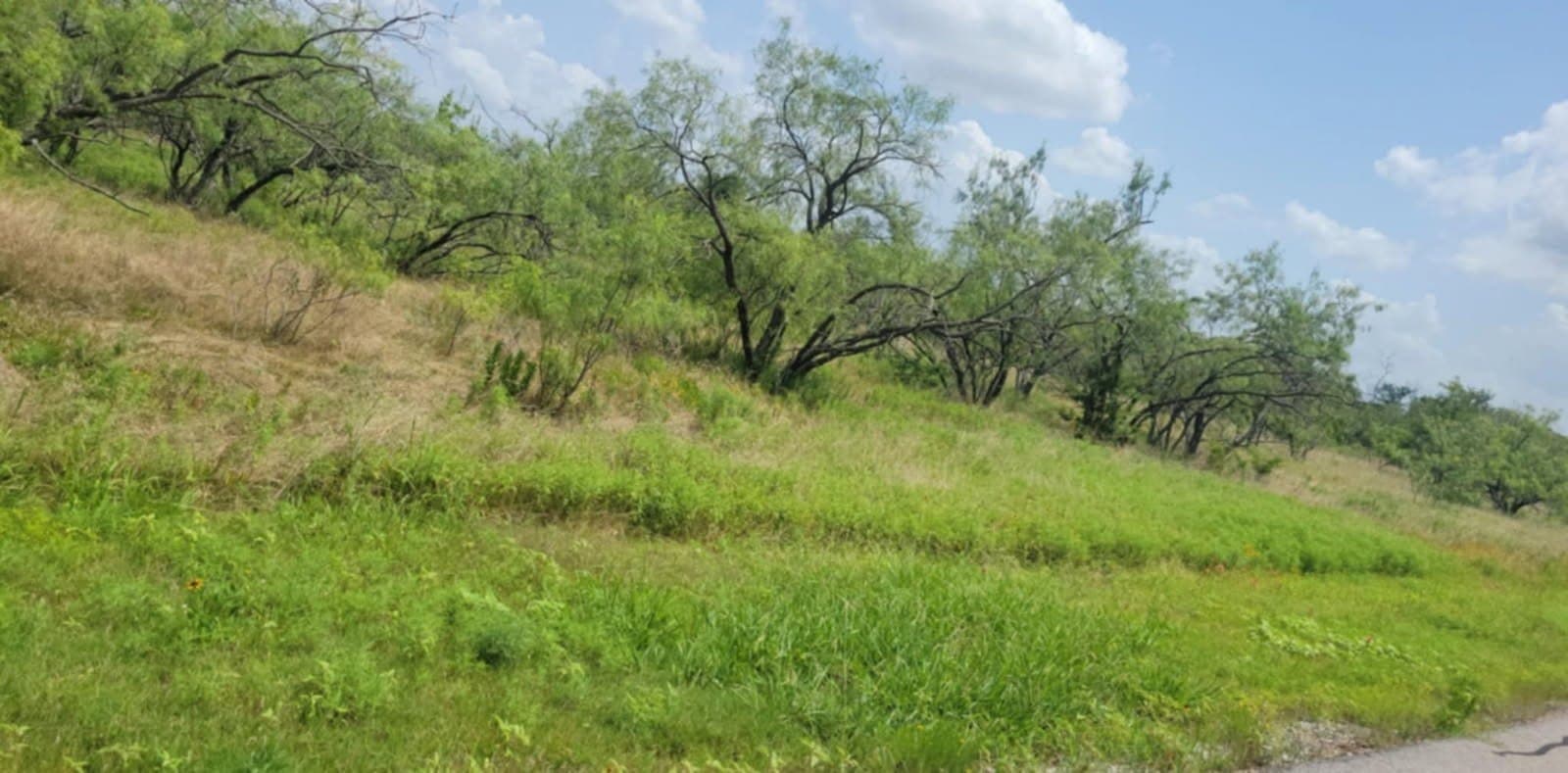 2 acres in Navarro County - photo 7