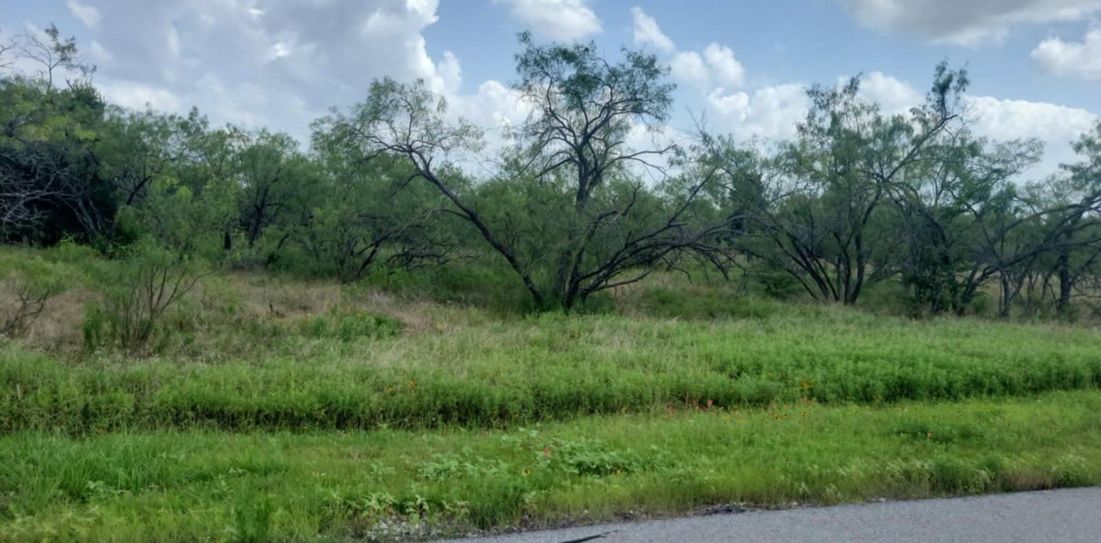 2 acres in Navarro County featured view
