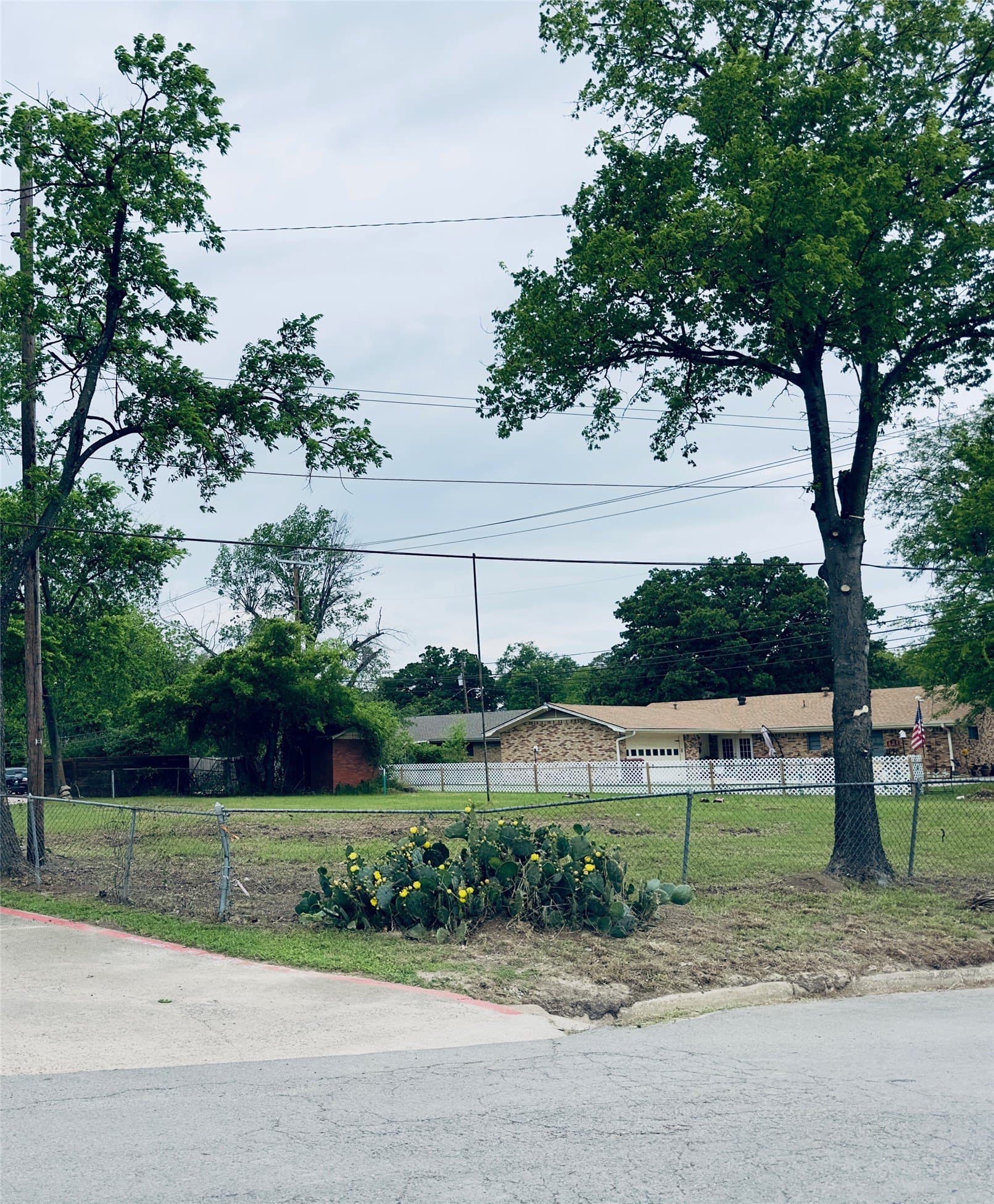 0.25 acres in Hopkins County gallery image 3