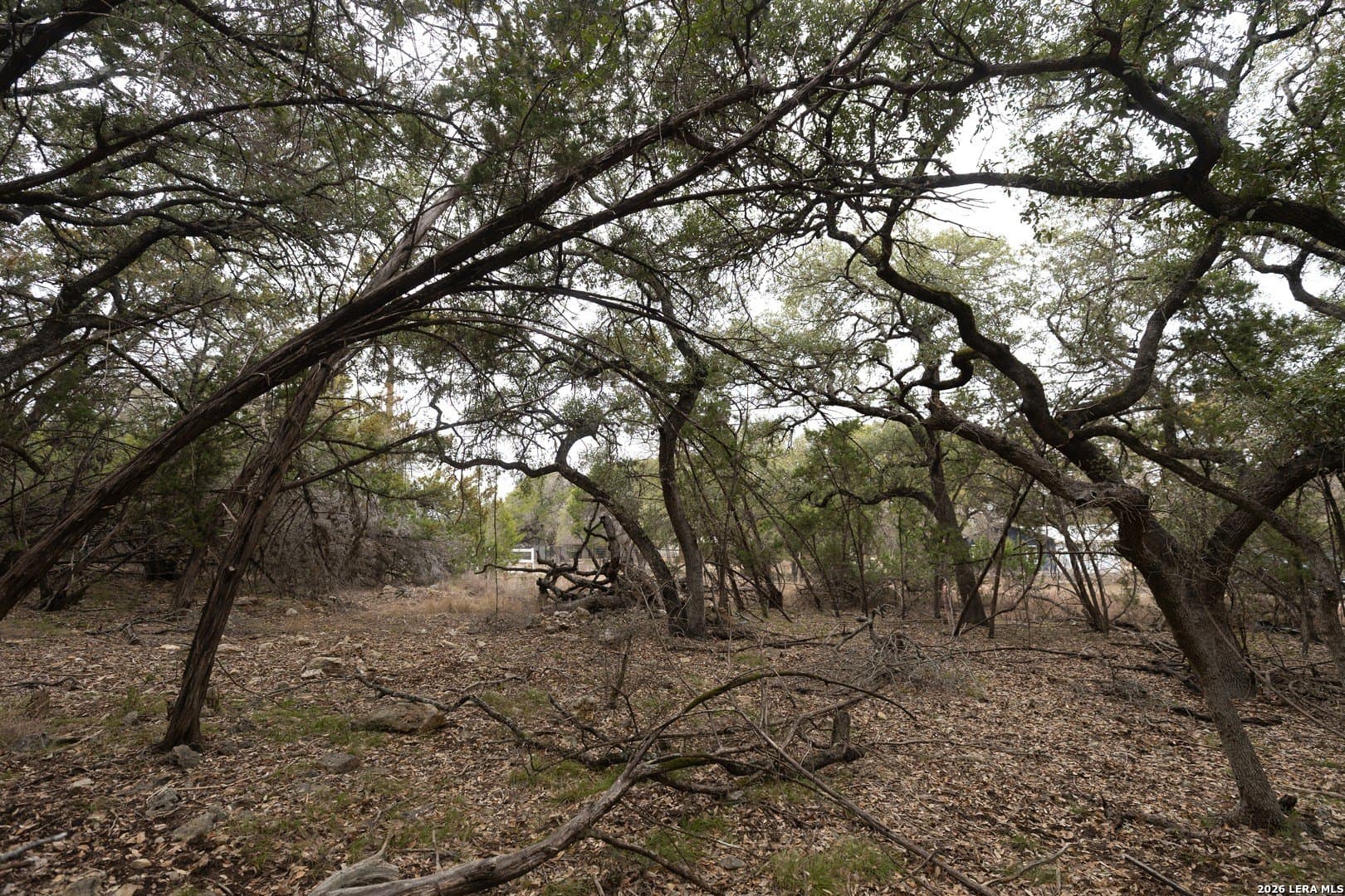 0.27 acres in Comal County featured view
