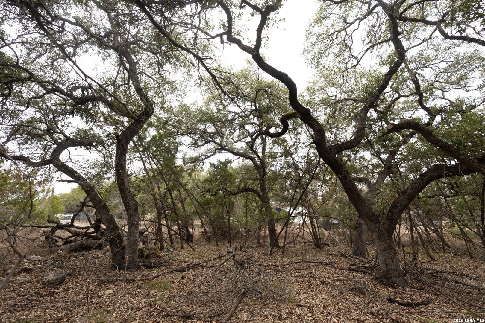 0.27 acres in Comal County