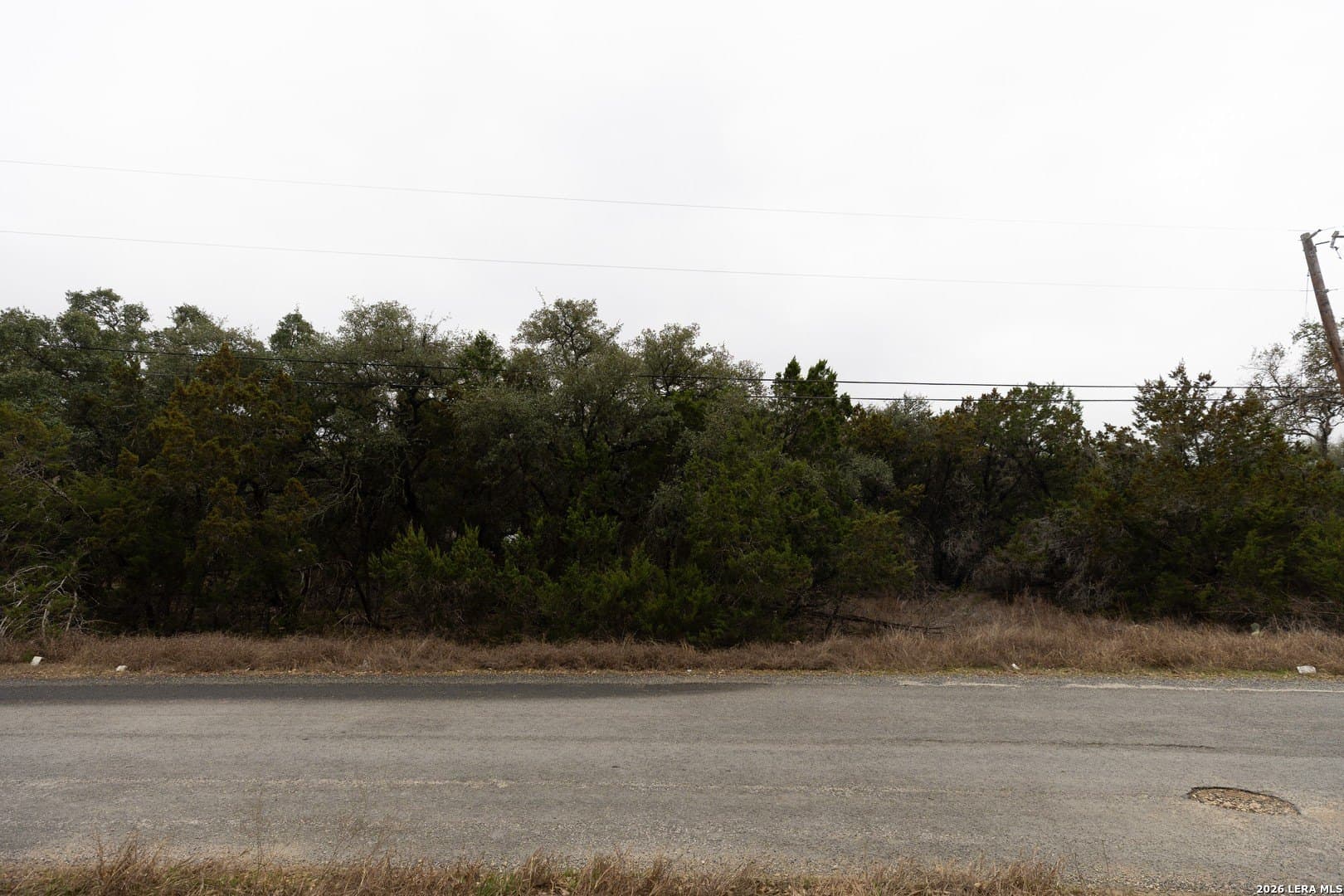 0.27 acres in Comal County gallery image 3
