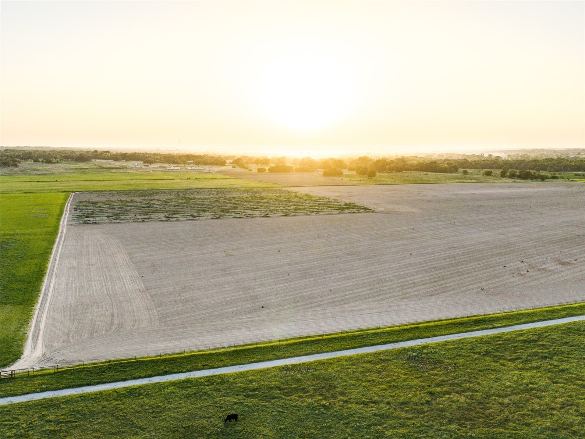 263.62 acres in Wise County - photo 3