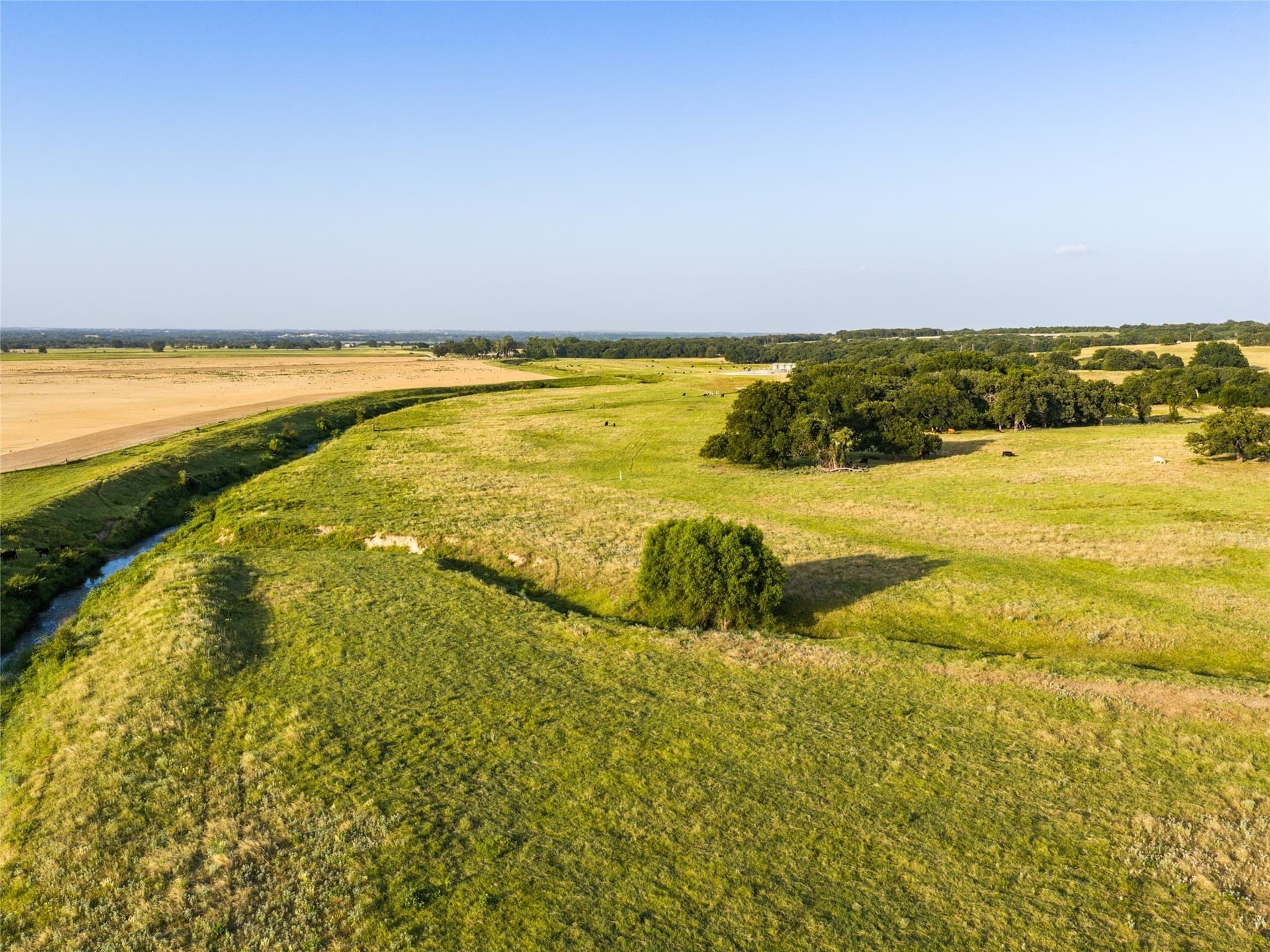 263.62 acres in Wise County - photo 5