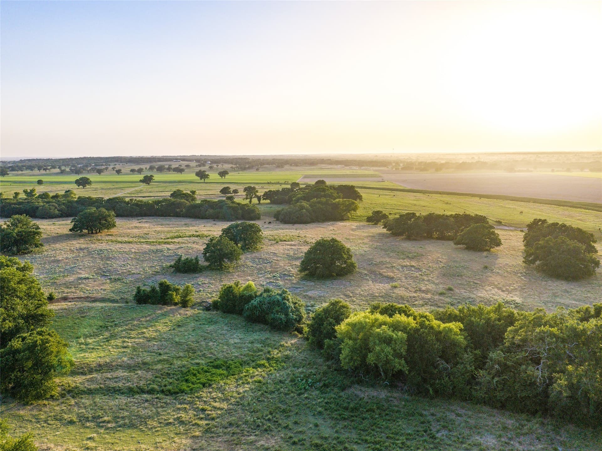 263.62 acres in Wise County