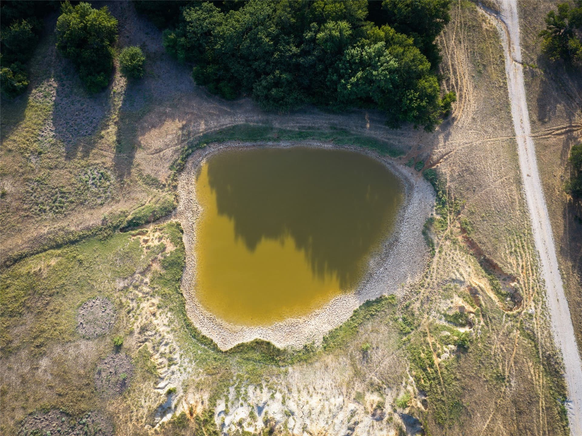 263.62 acres in Wise County - photo 21