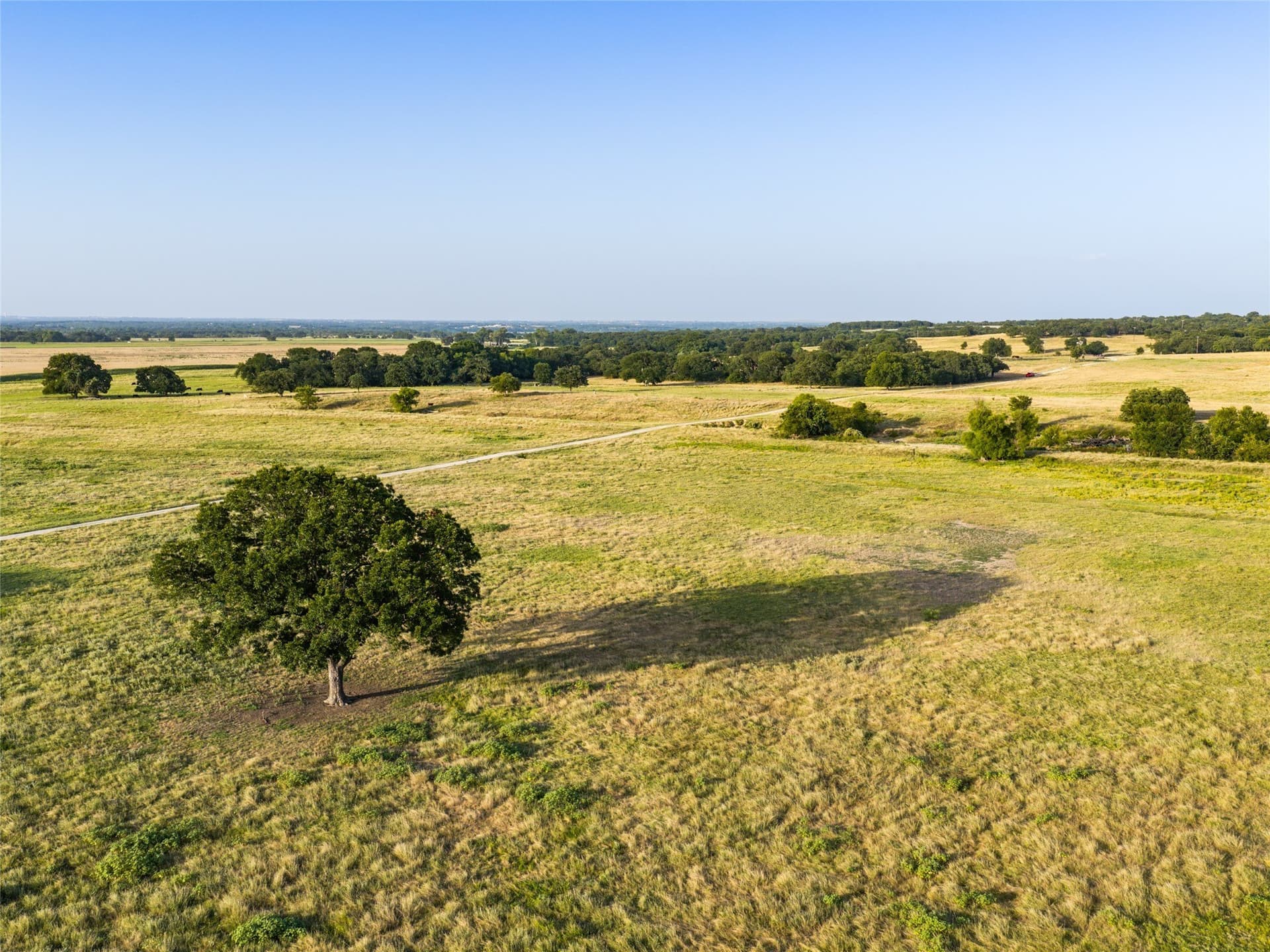 263.62 acres in Wise County - photo 33