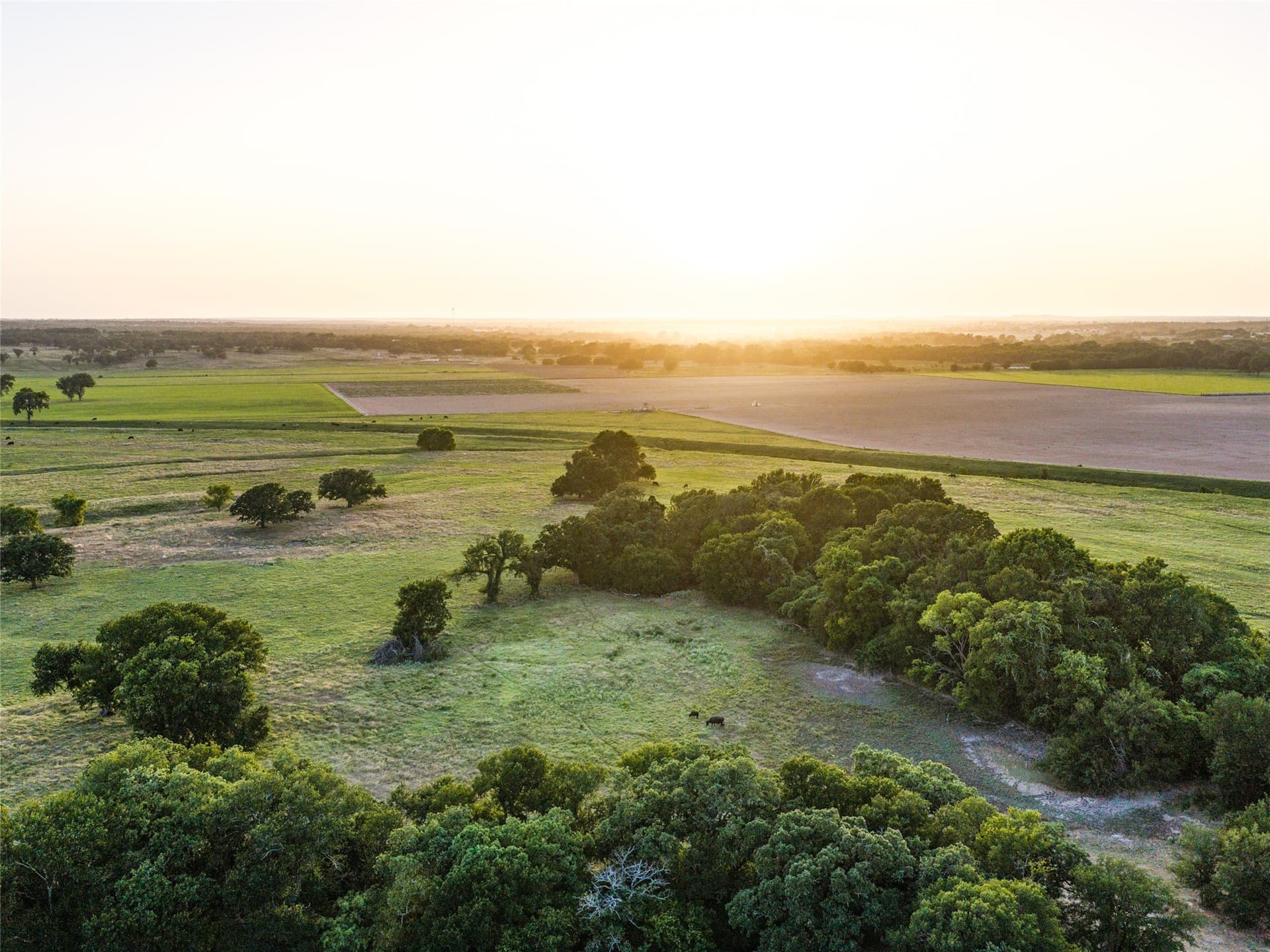 263.62 acres in Wise County - photo 6