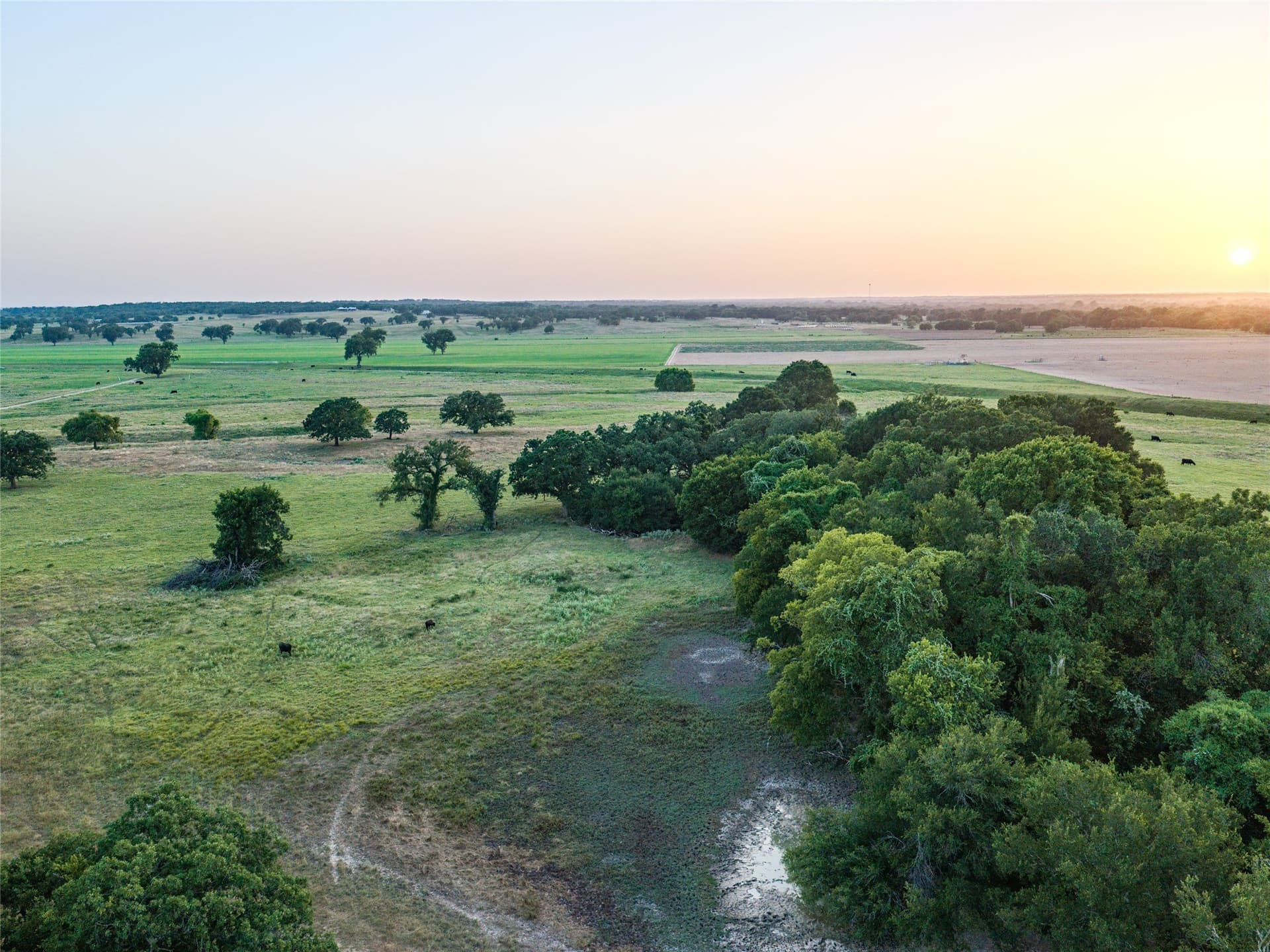 263.62 acres in Wise County - photo 11