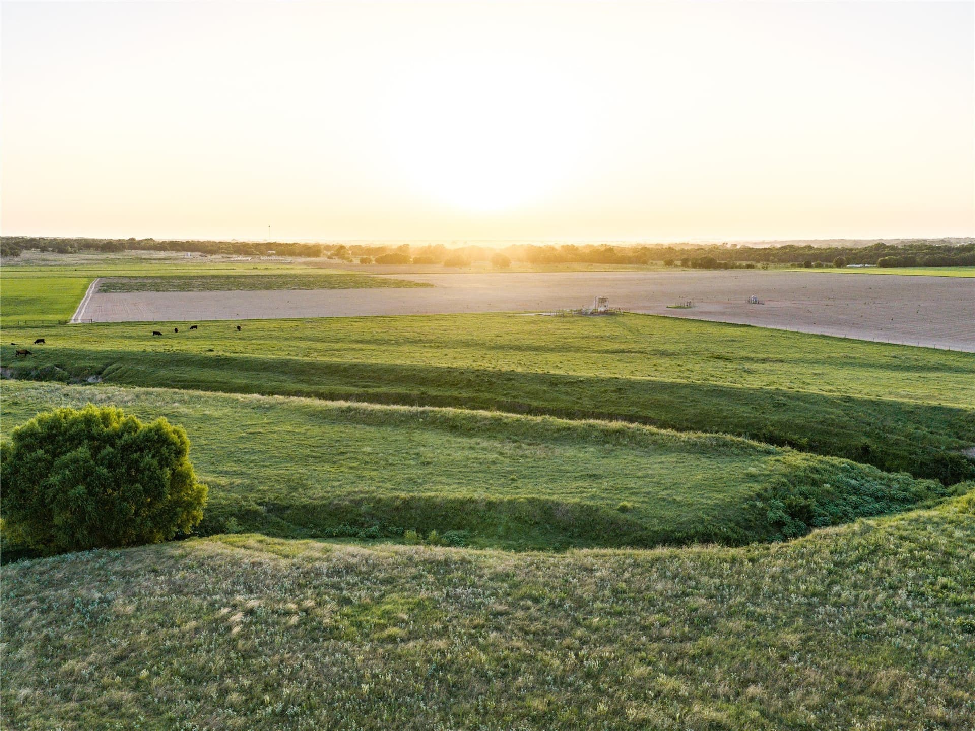 263.62 acres in Wise County - photo 7
