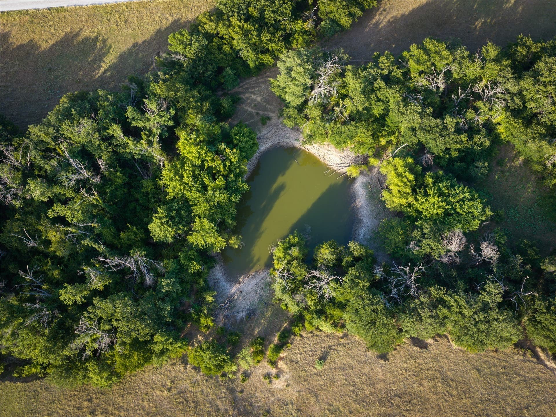 263.62 acres in Wise County - photo 23