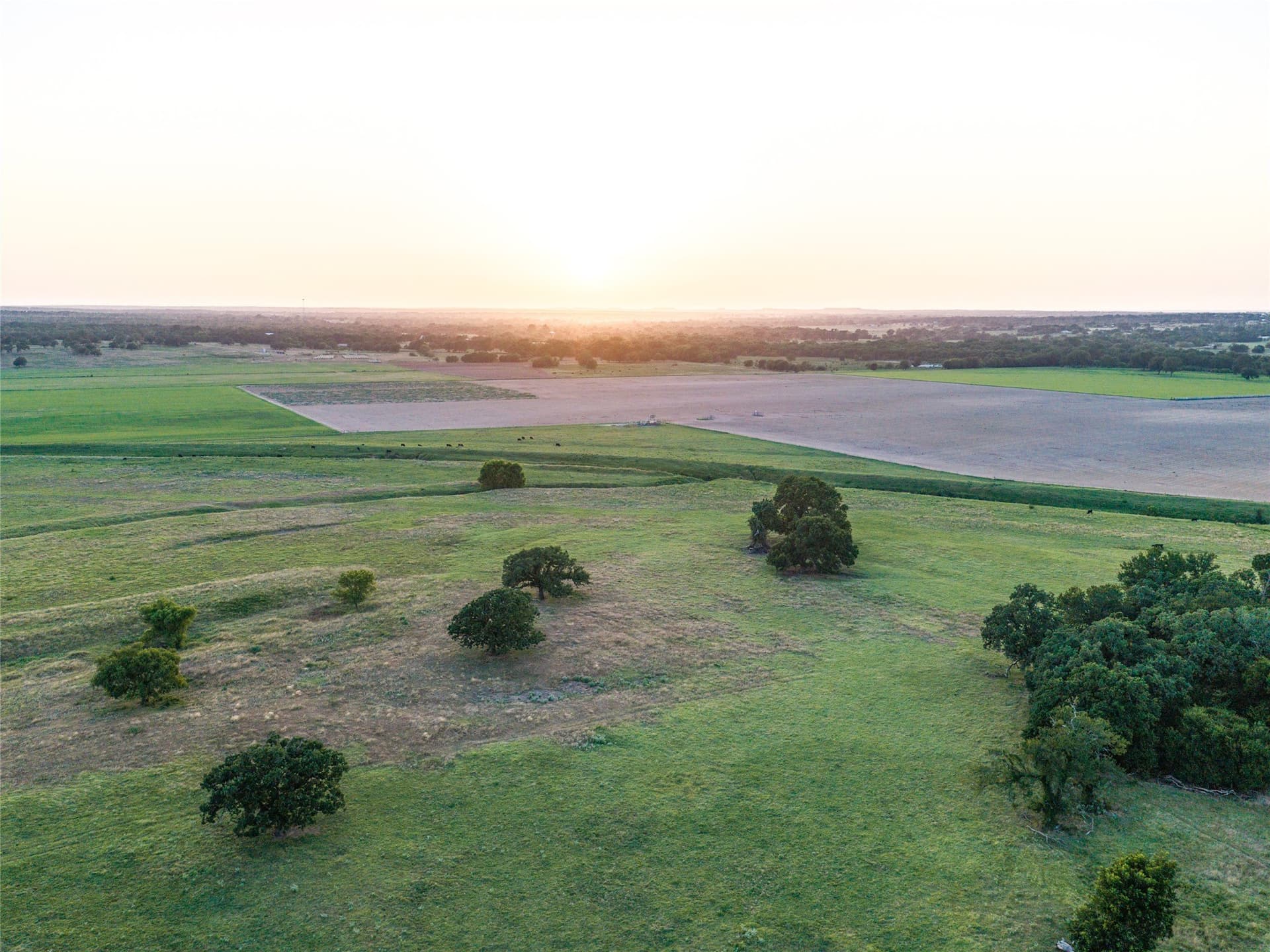 263.62 acres in Wise County - photo 15