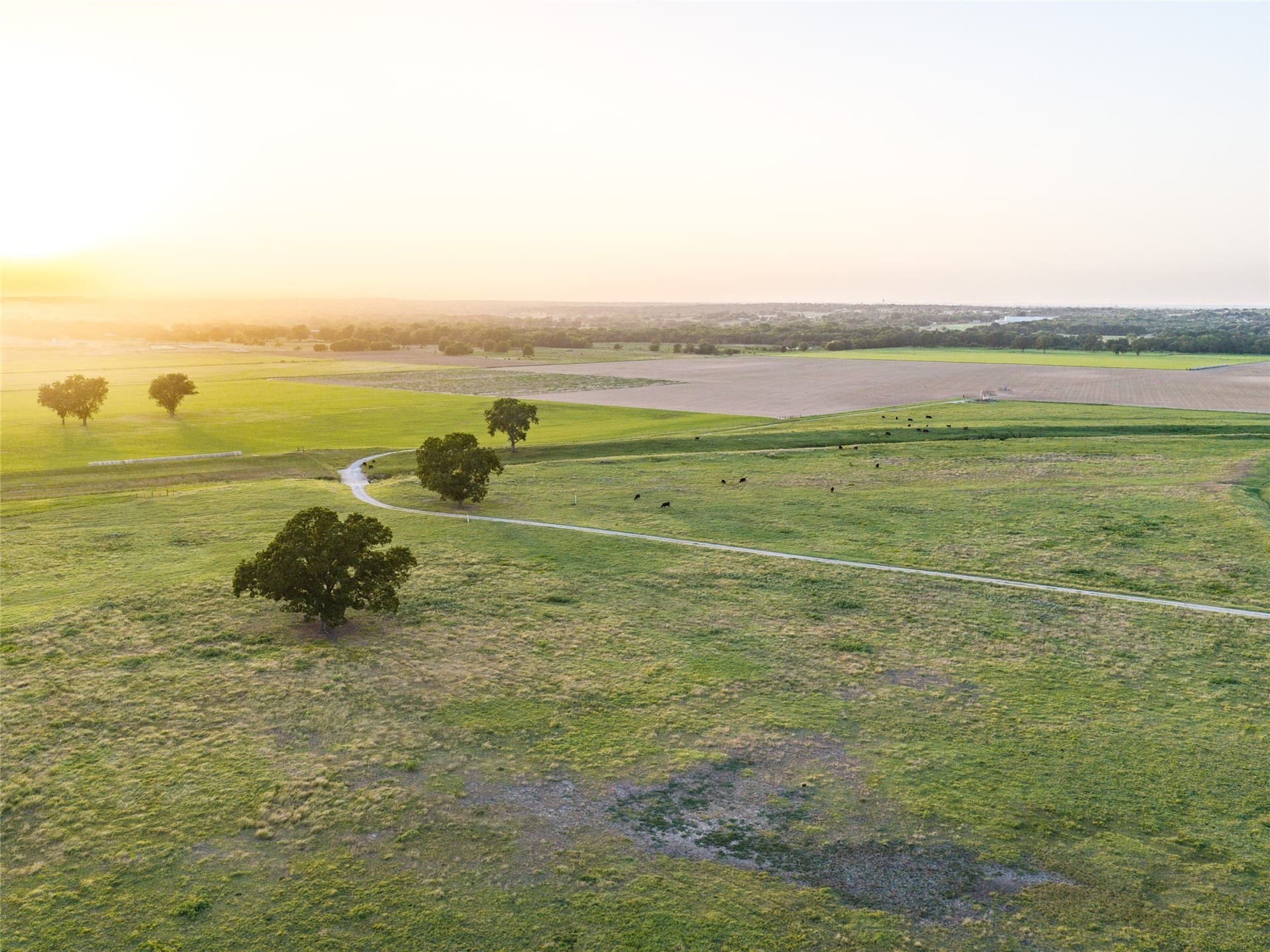 263.62 acres in Wise County - photo 8