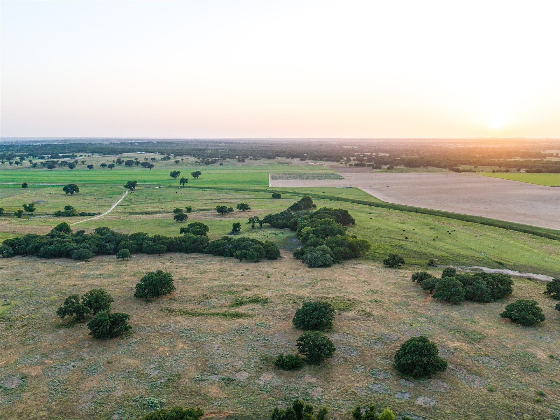 263.62 acres in Wise County - photo 2