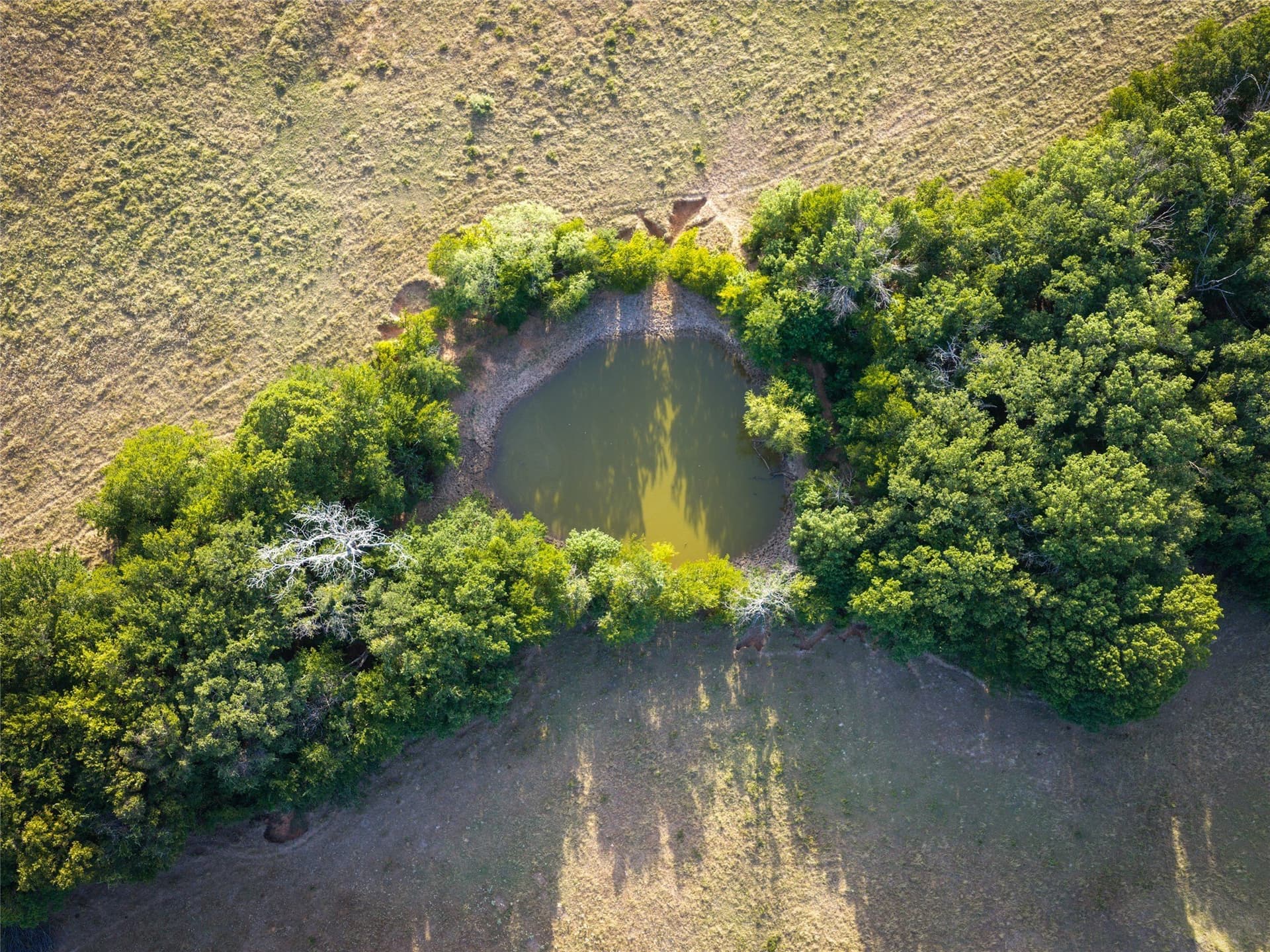 263.62 acres in Wise County - photo 24