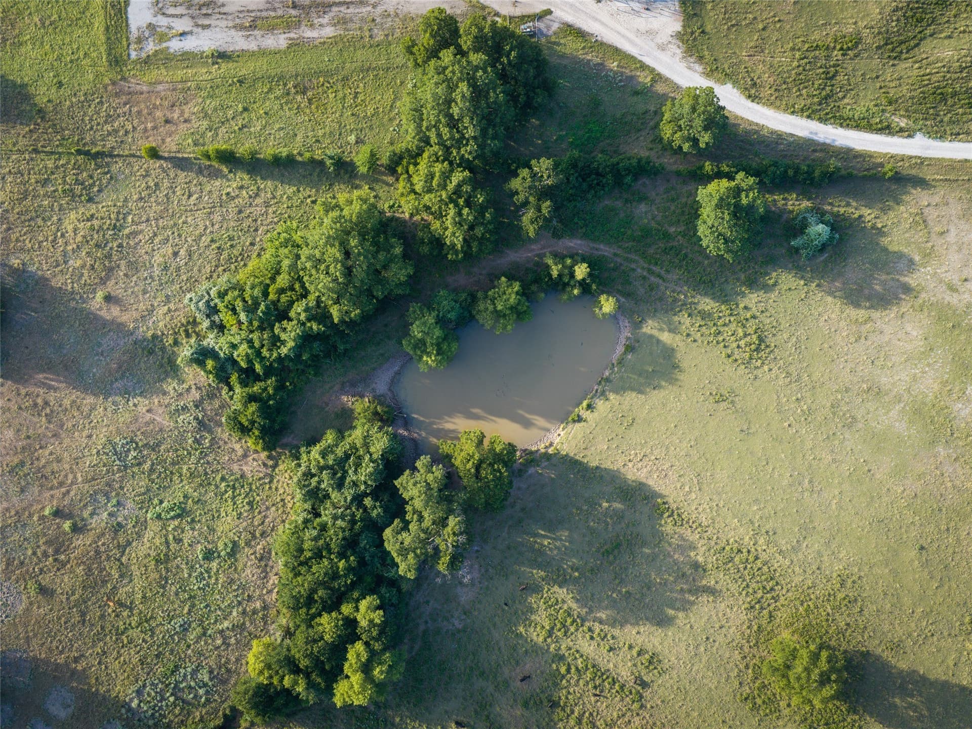 263.62 acres in Wise County - photo 22