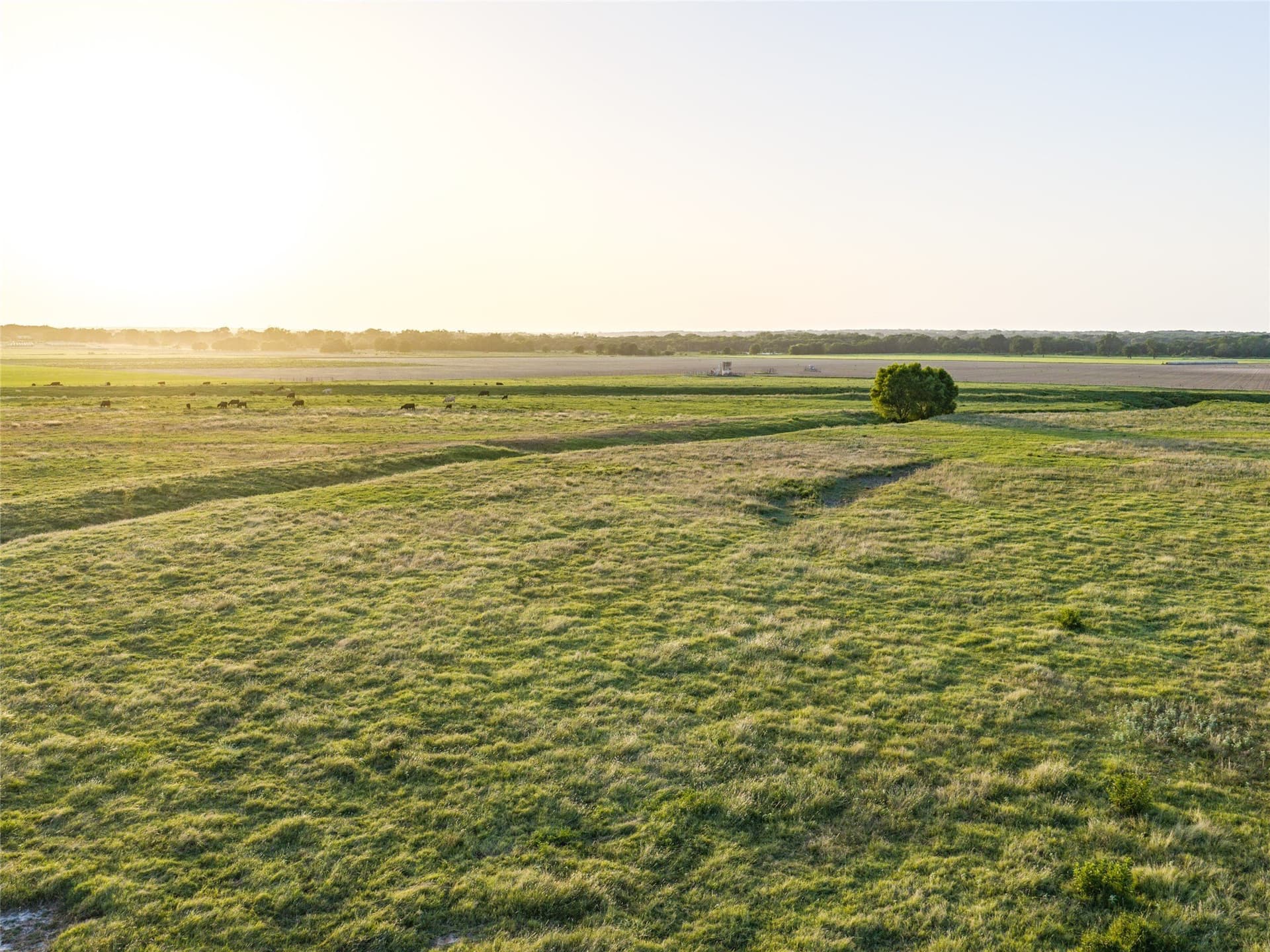 263.62 acres in Wise County - photo 18