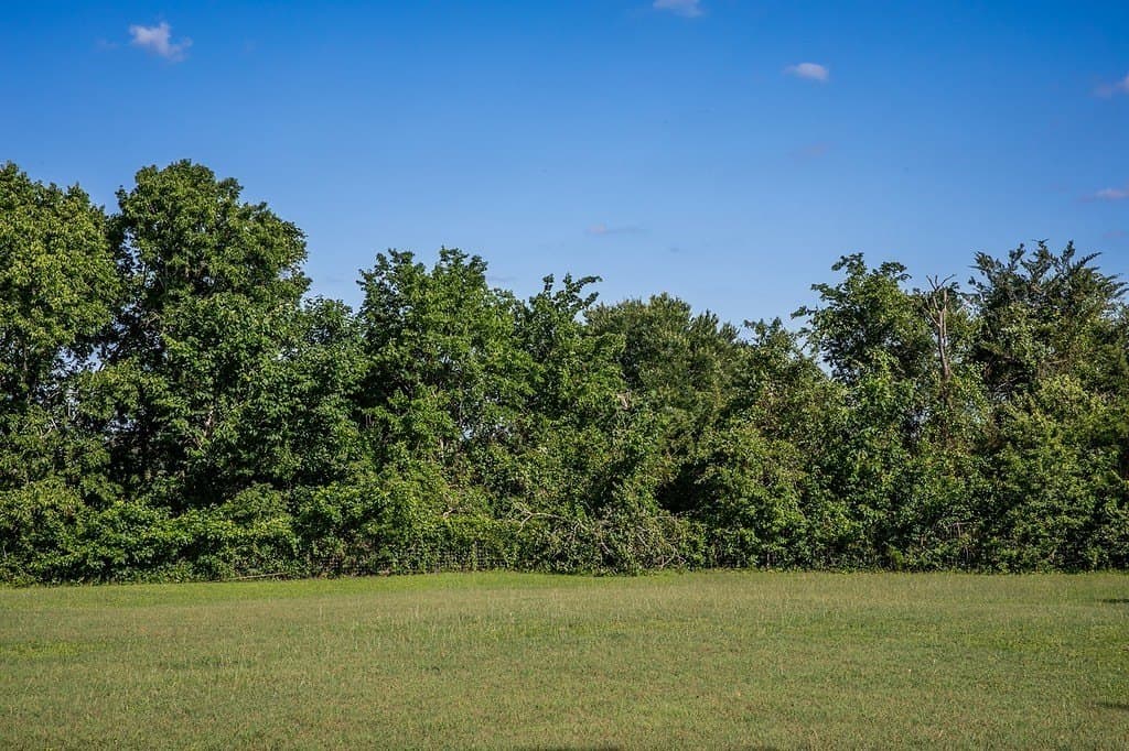 2.92 acres in Washington County - photo 29