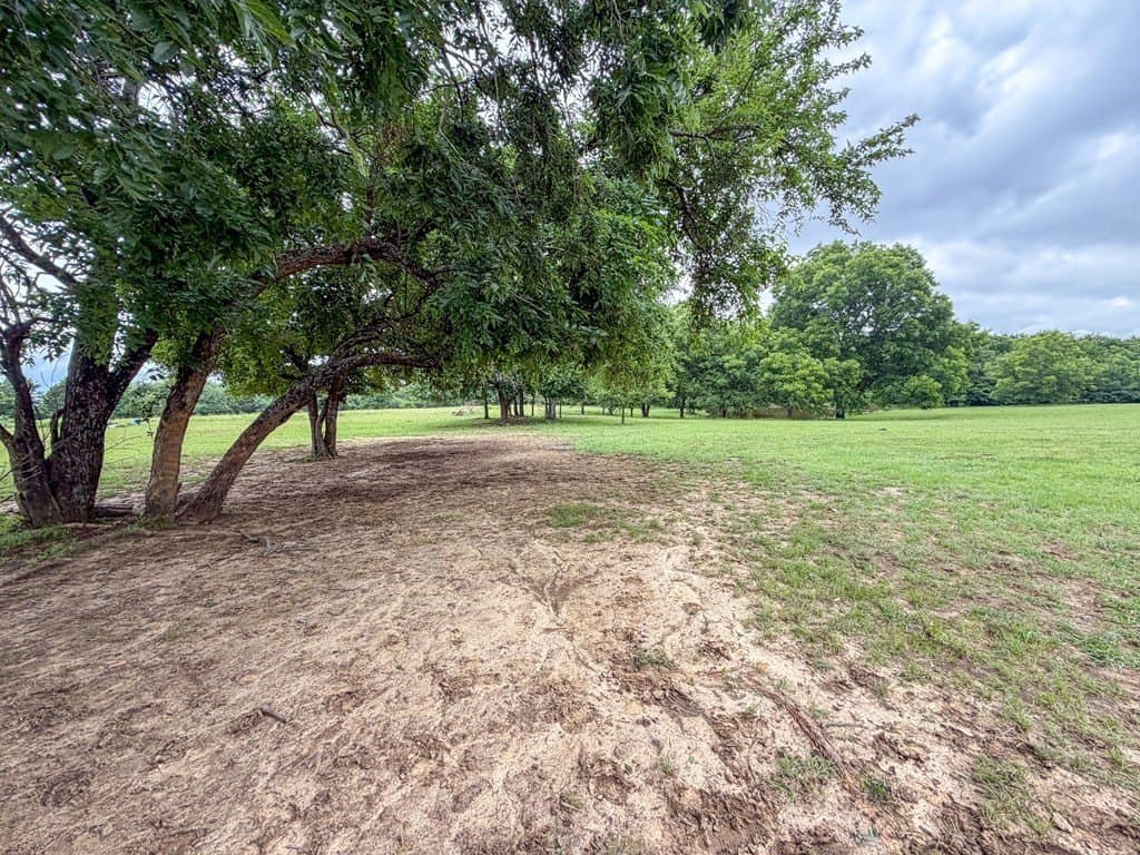 29.92 acres in Rains County - photo 27