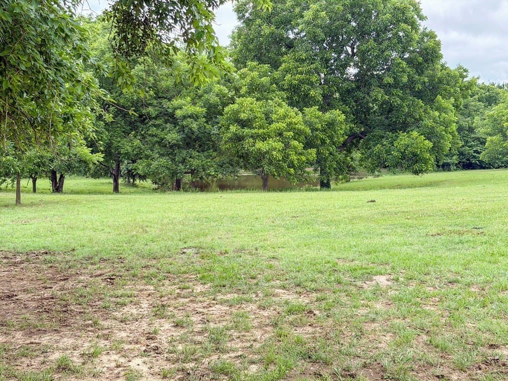 29.92 acres in Rains County - photo 26