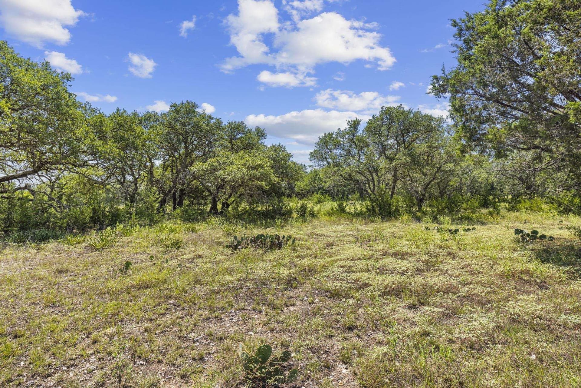 5.38 acres in Burnet County - photo 11