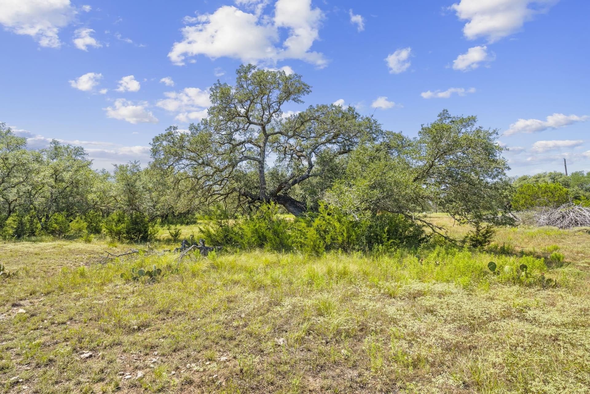 5.38 acres in Burnet County - photo 8
