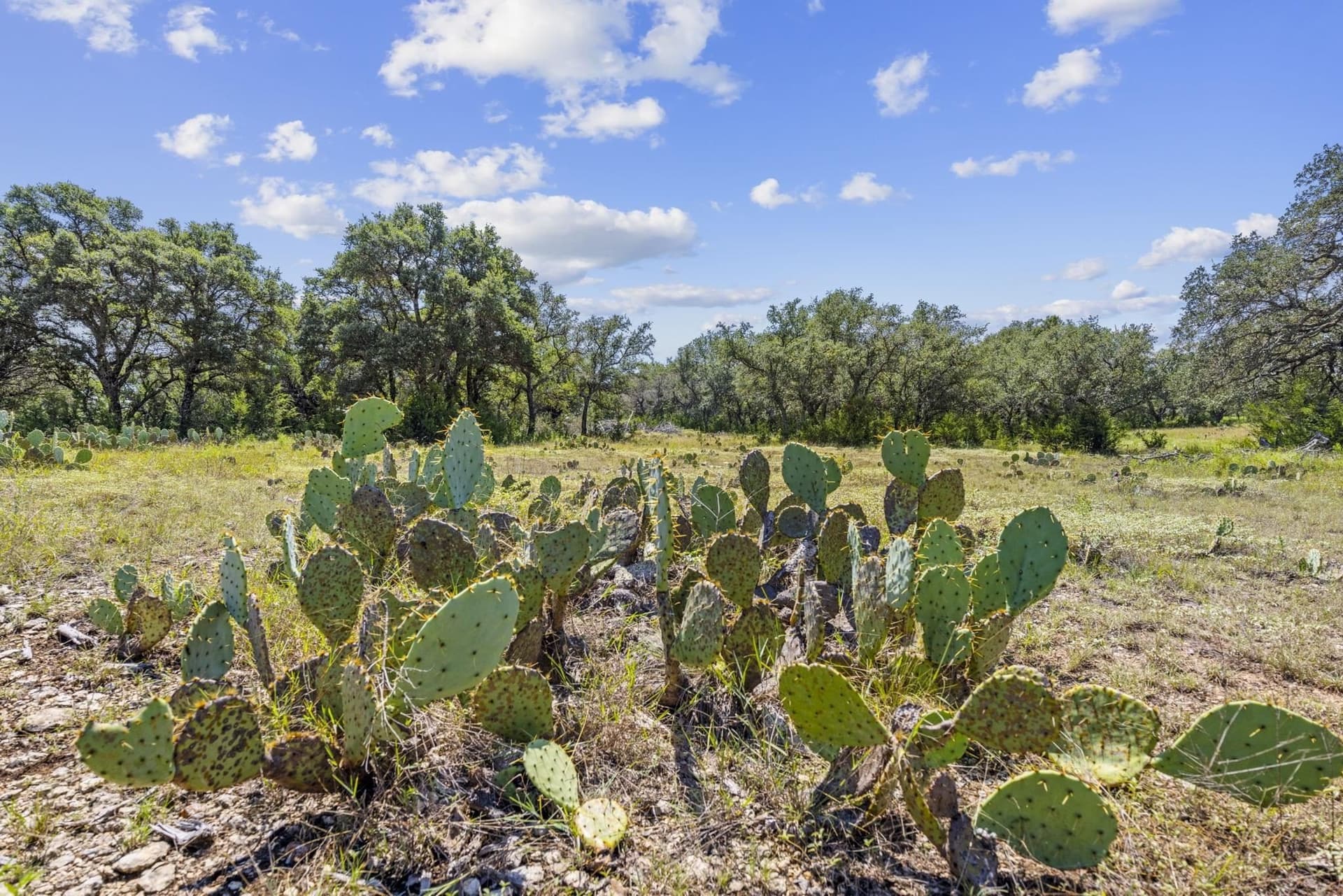 5.38 acres in Burnet County - photo 10