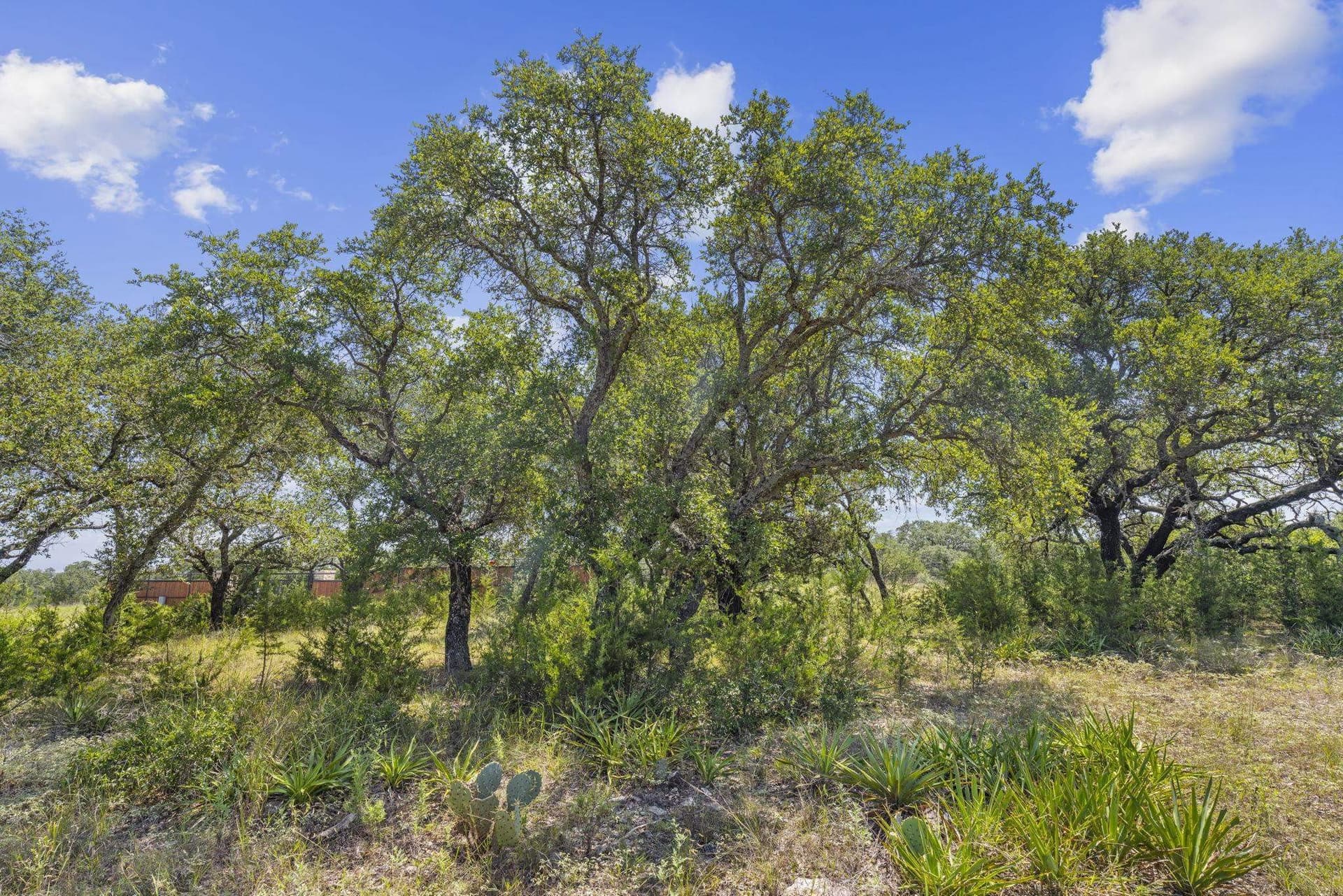 5.38 acres in Burnet County - photo 12