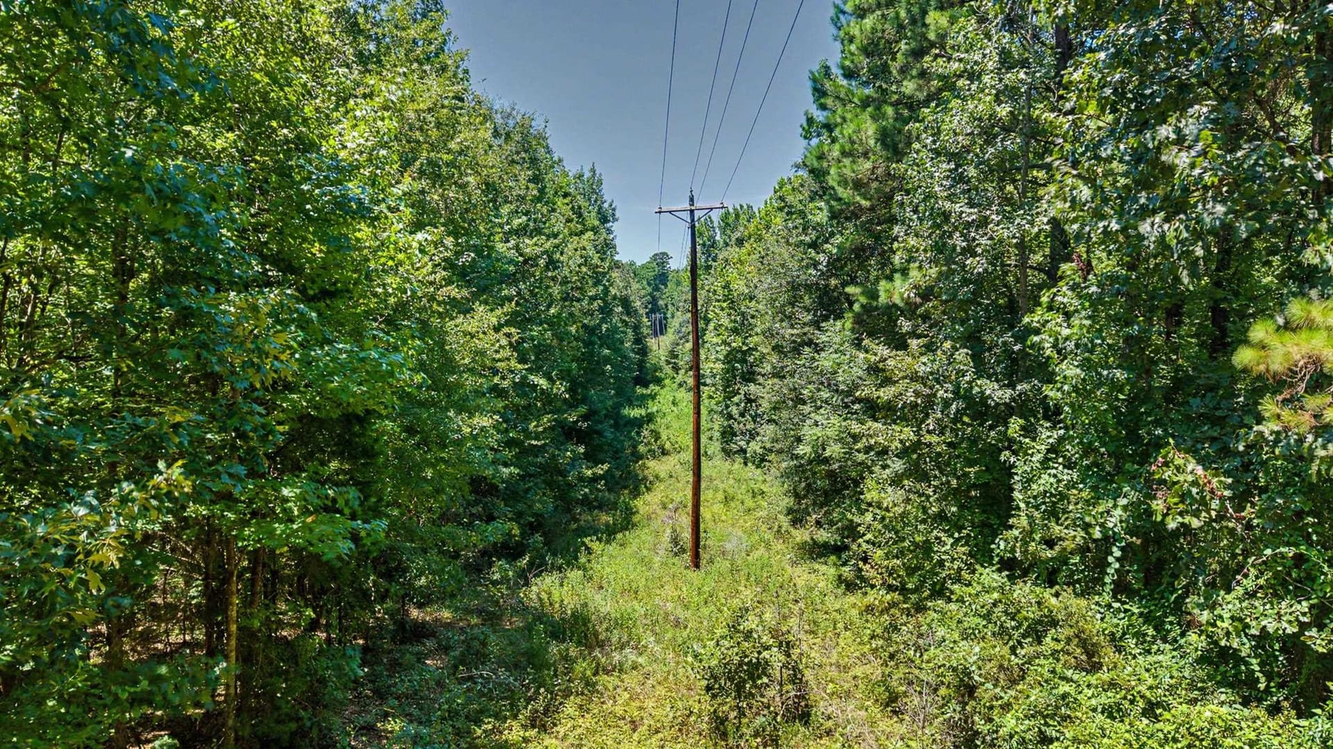 60 acres in Texas County - photo 4