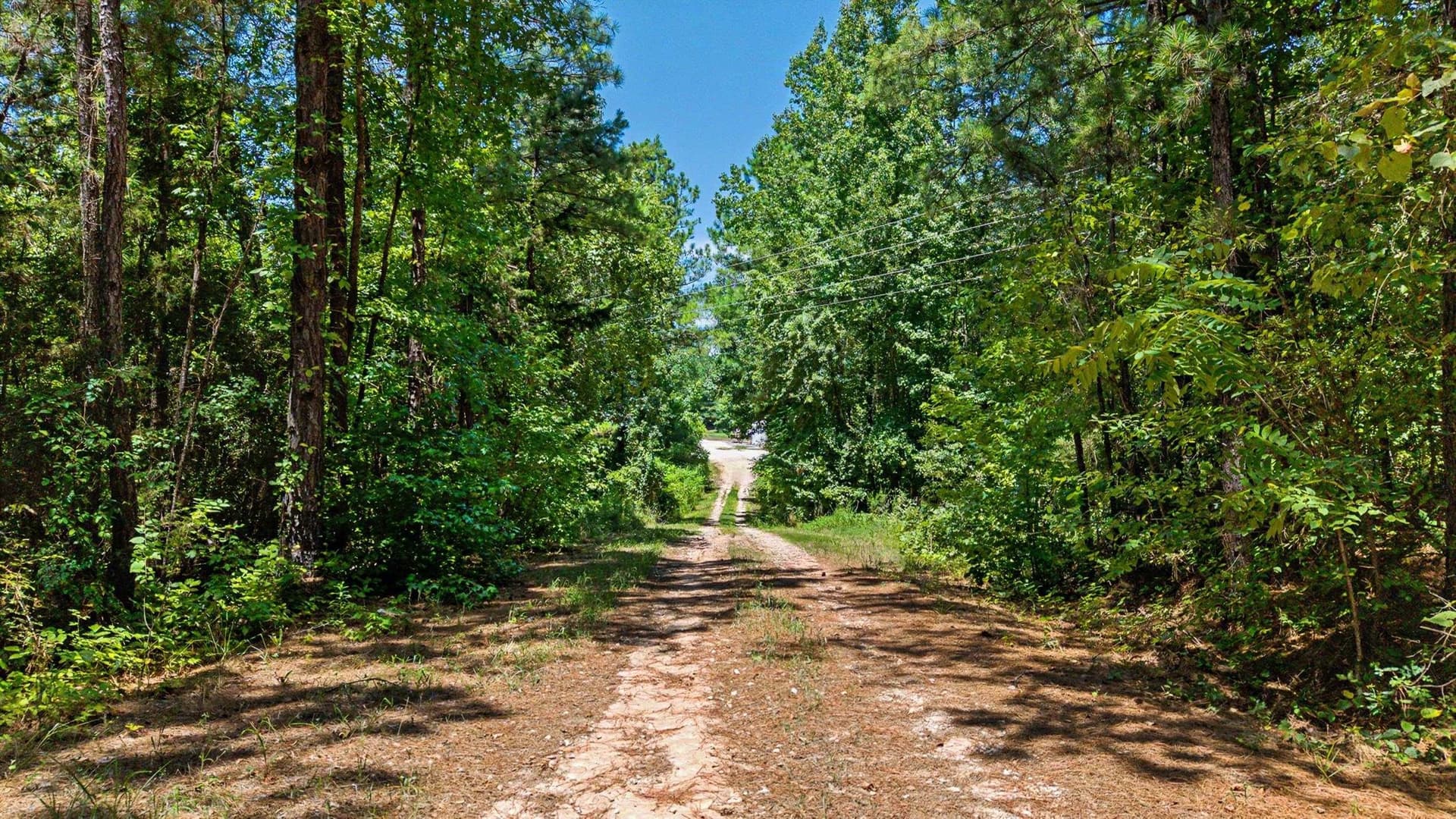60 acres in Texas County - photo 5