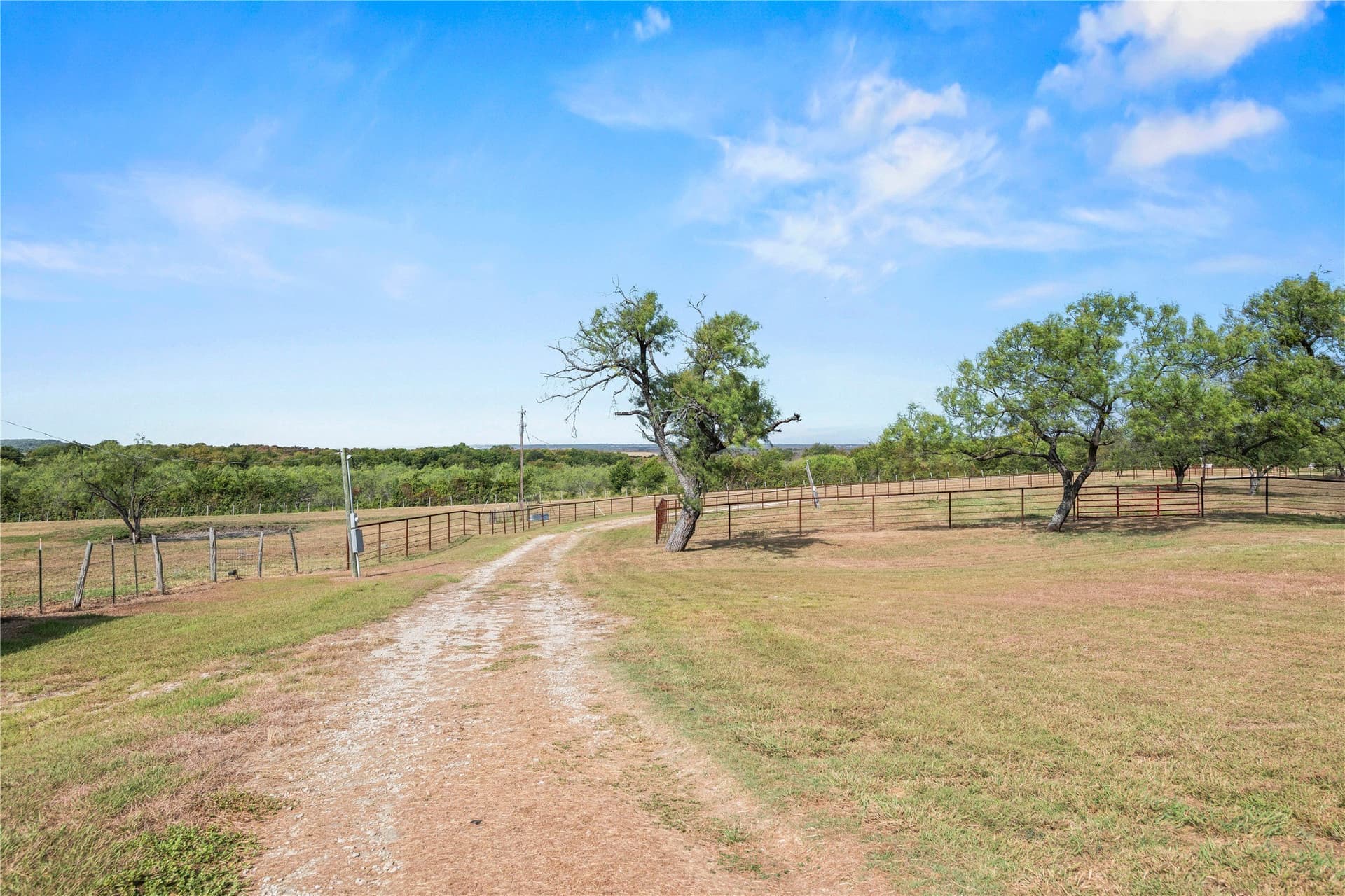 13.83 acres in Limestone County - photo 5