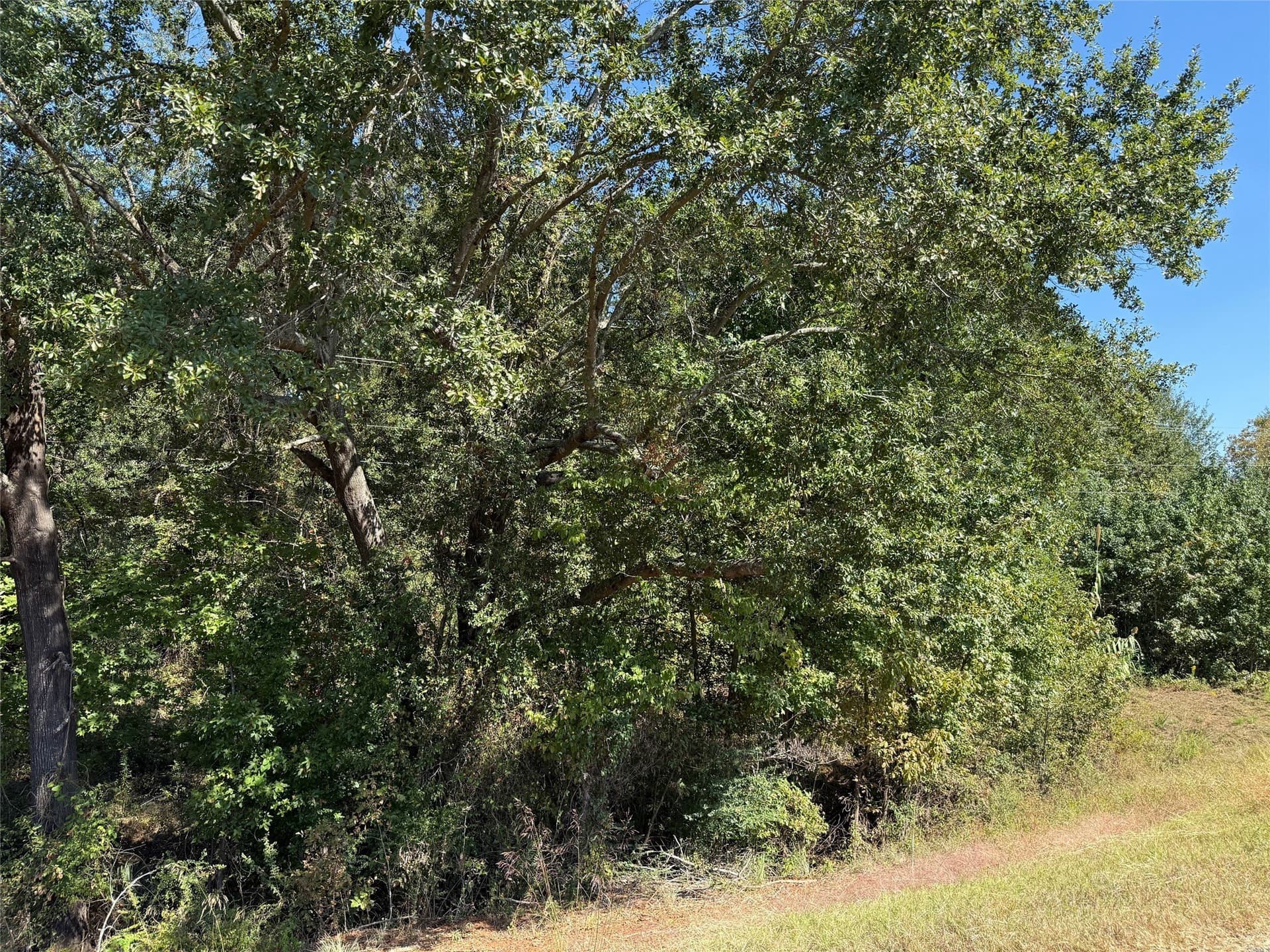 20.2 acres in Wood County featured view